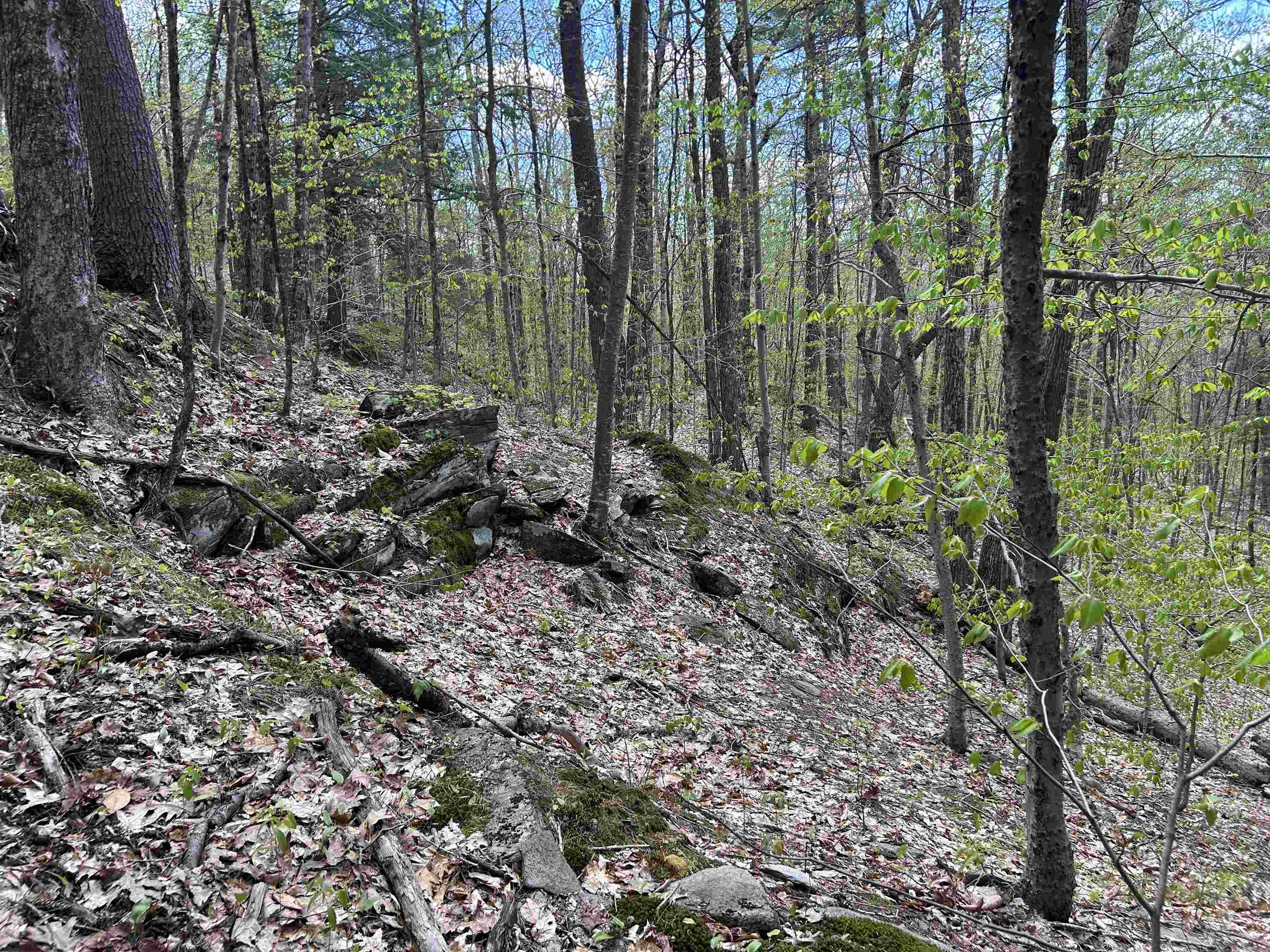 188 Rattlesnake Mountain Road Property Photo 31