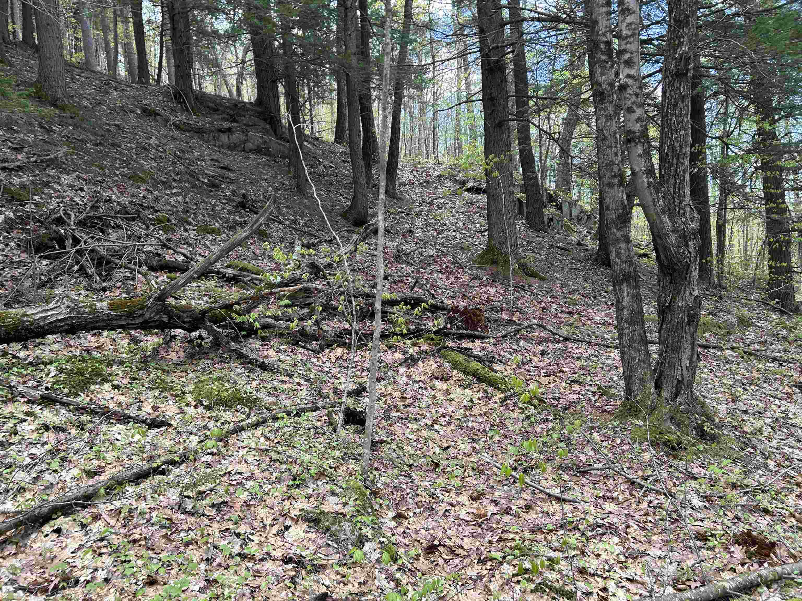 188 Rattlesnake Mountain Road Property Photo 32