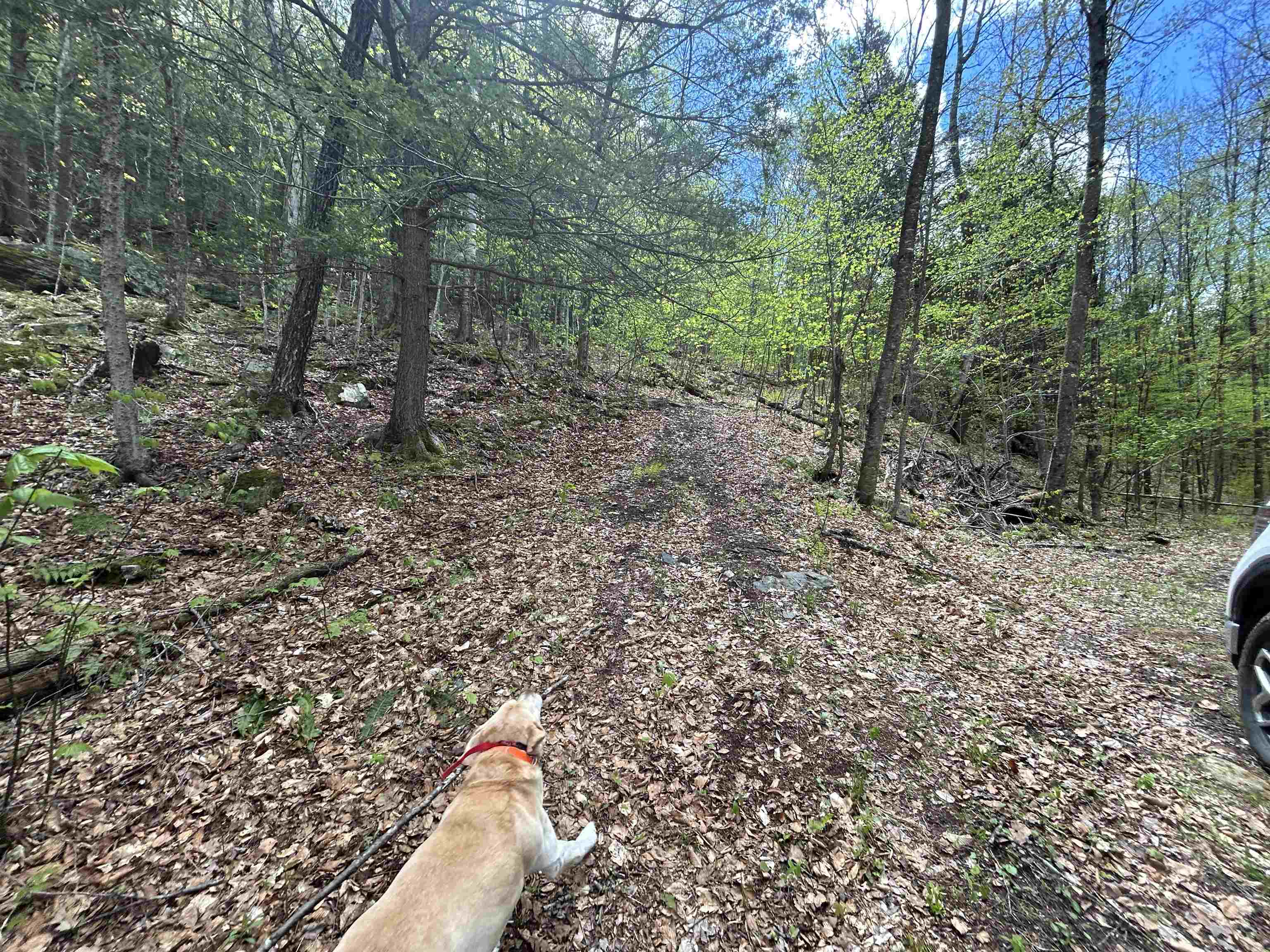 188 Rattlesnake Mountain Road Property Photo 33