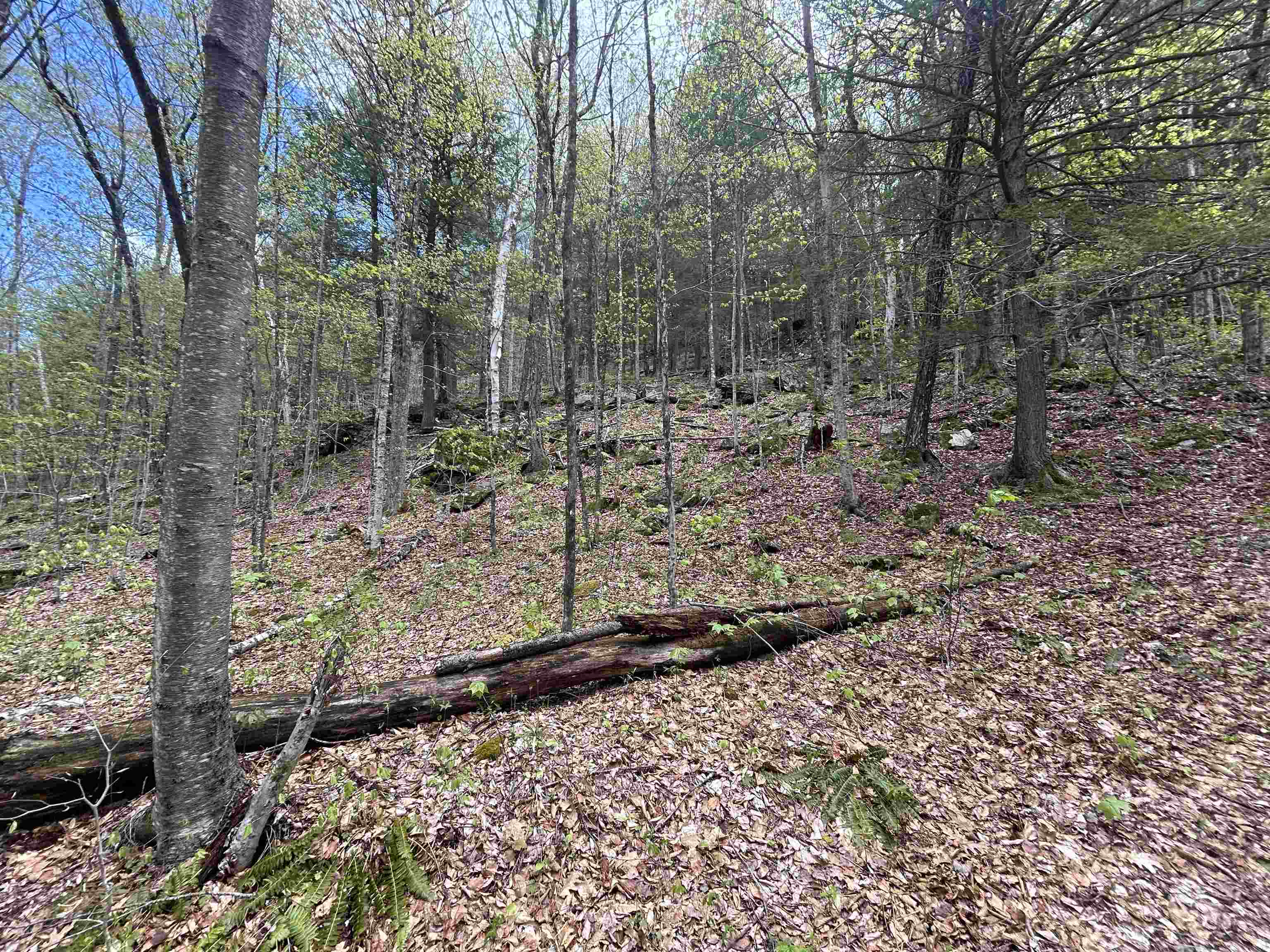 188 Rattlesnake Mountain Road Property Photo 34