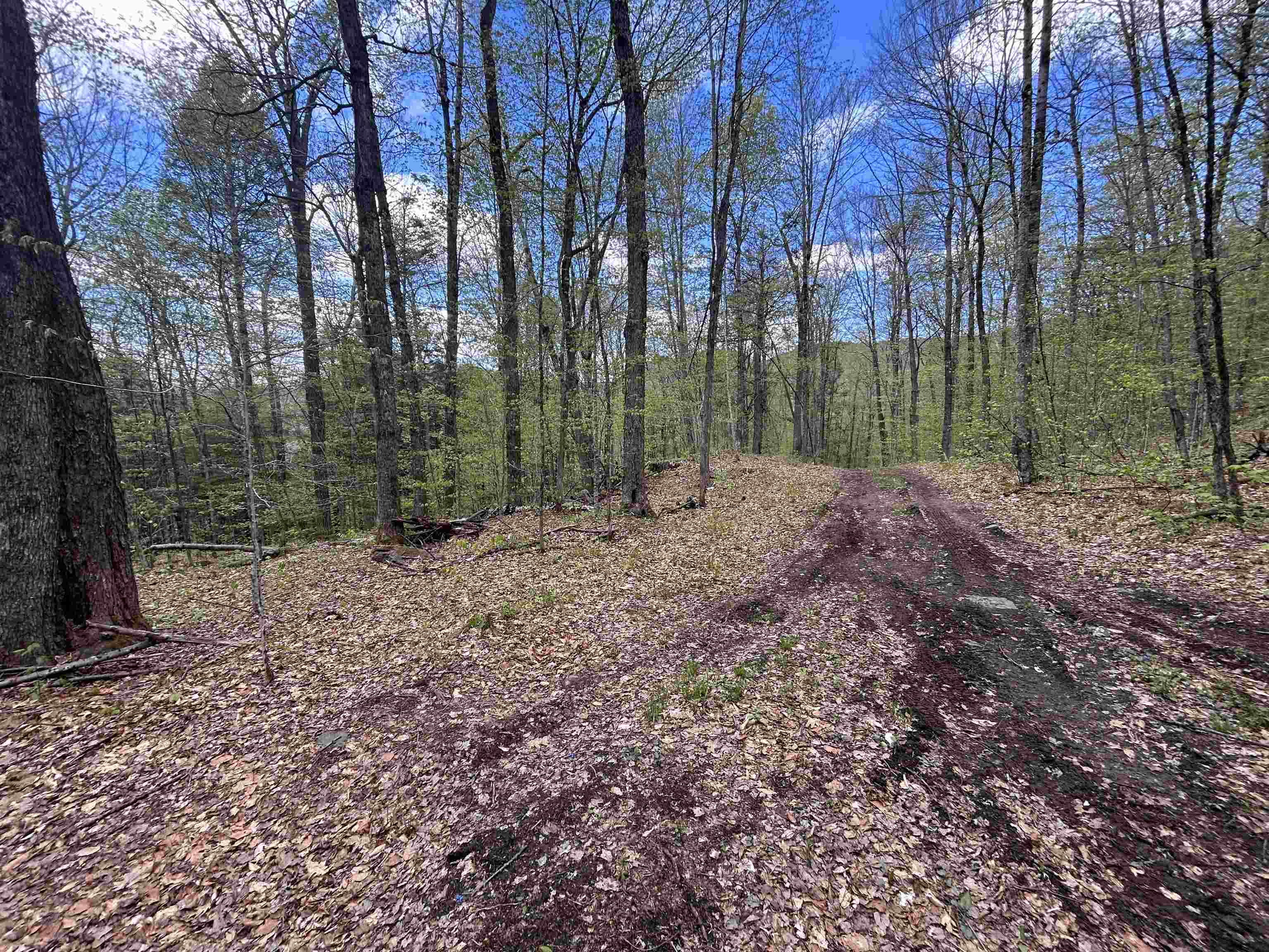 188 Rattlesnake Mountain Road Property Photo 35