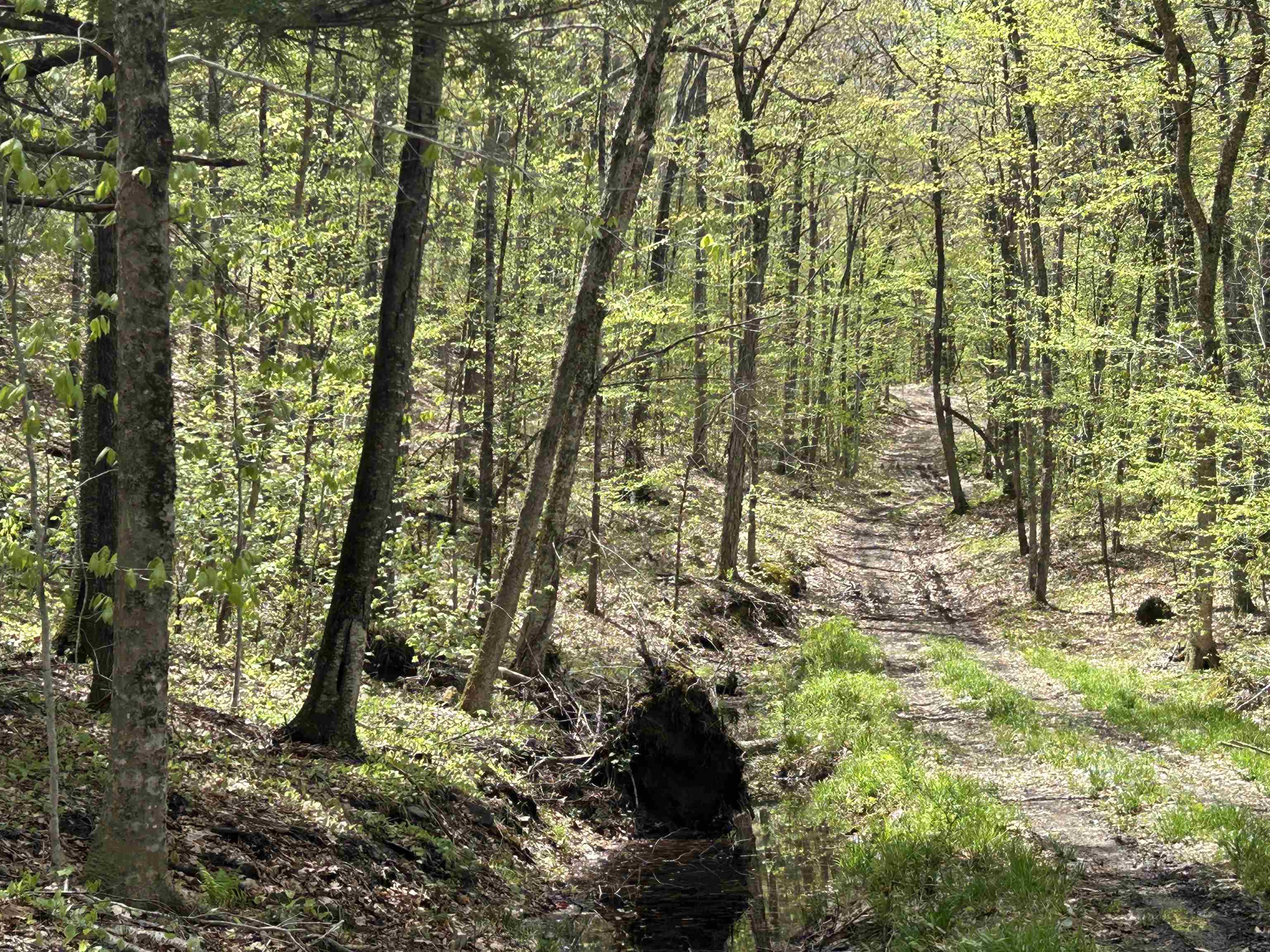 188 Rattlesnake Mountain Road Property Photo 36