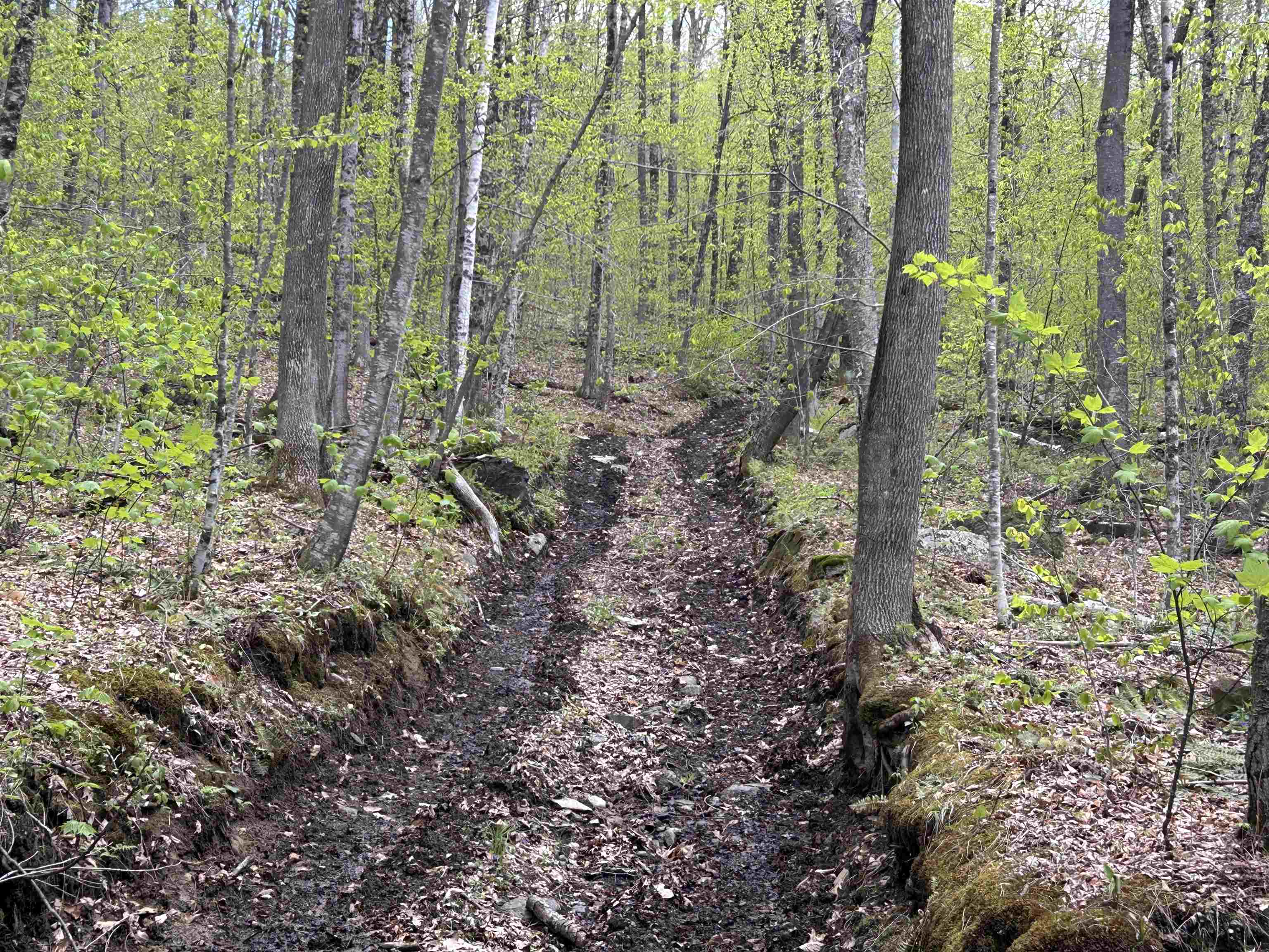 188 Rattlesnake Mountain Road Property Photo 37