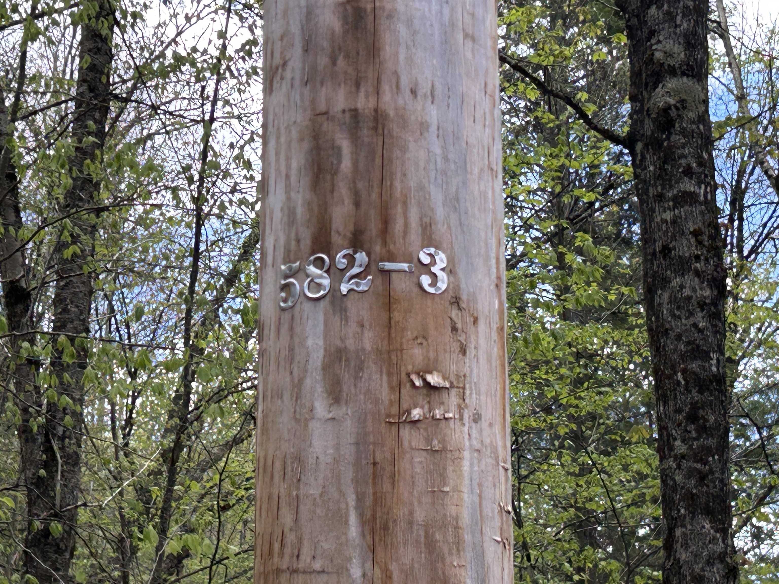188 Rattlesnake Mountain Road Property Photo 38