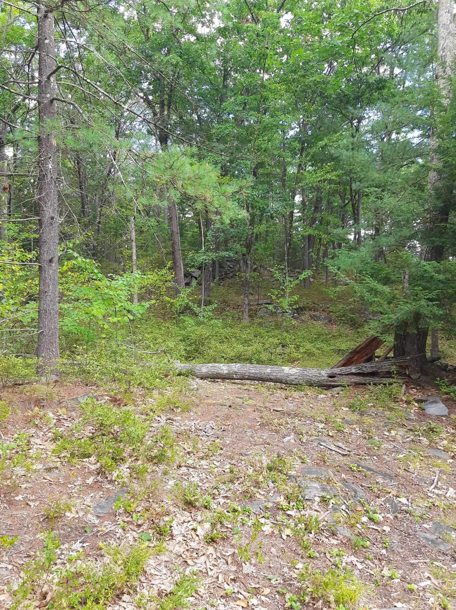 319 River Road S Property Photo 13