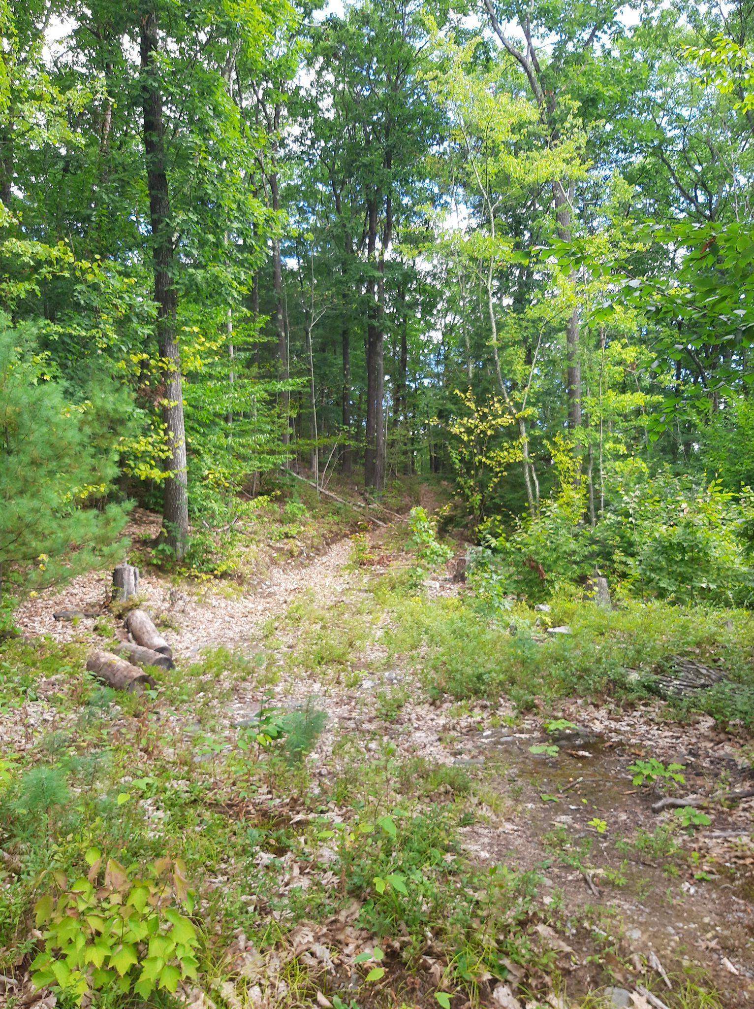 319 River Road S Property Photo 16