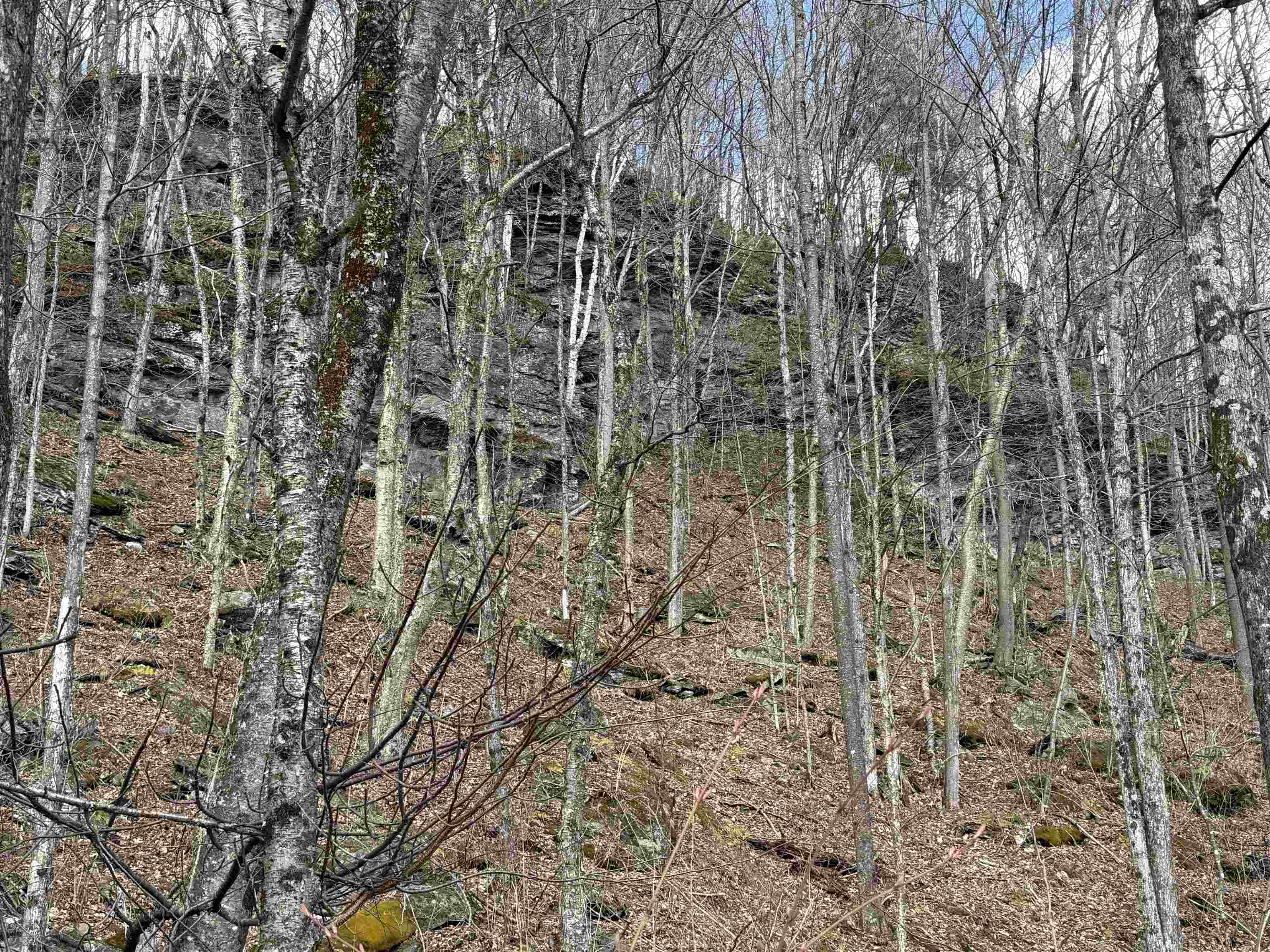 493 Wheeler Mountain Road Property Photo 8