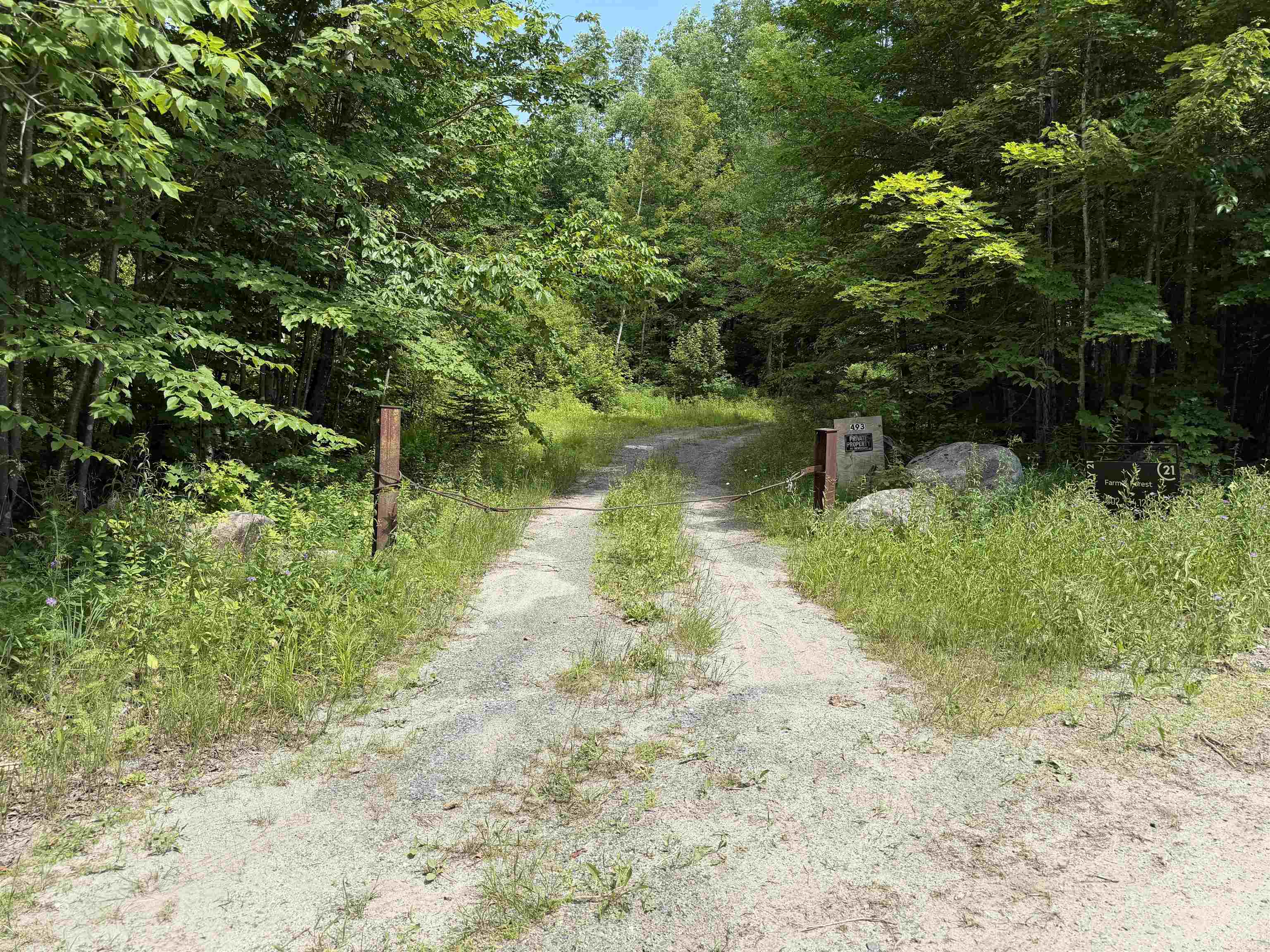 493 Wheeler Mountain Road Property Photo 25