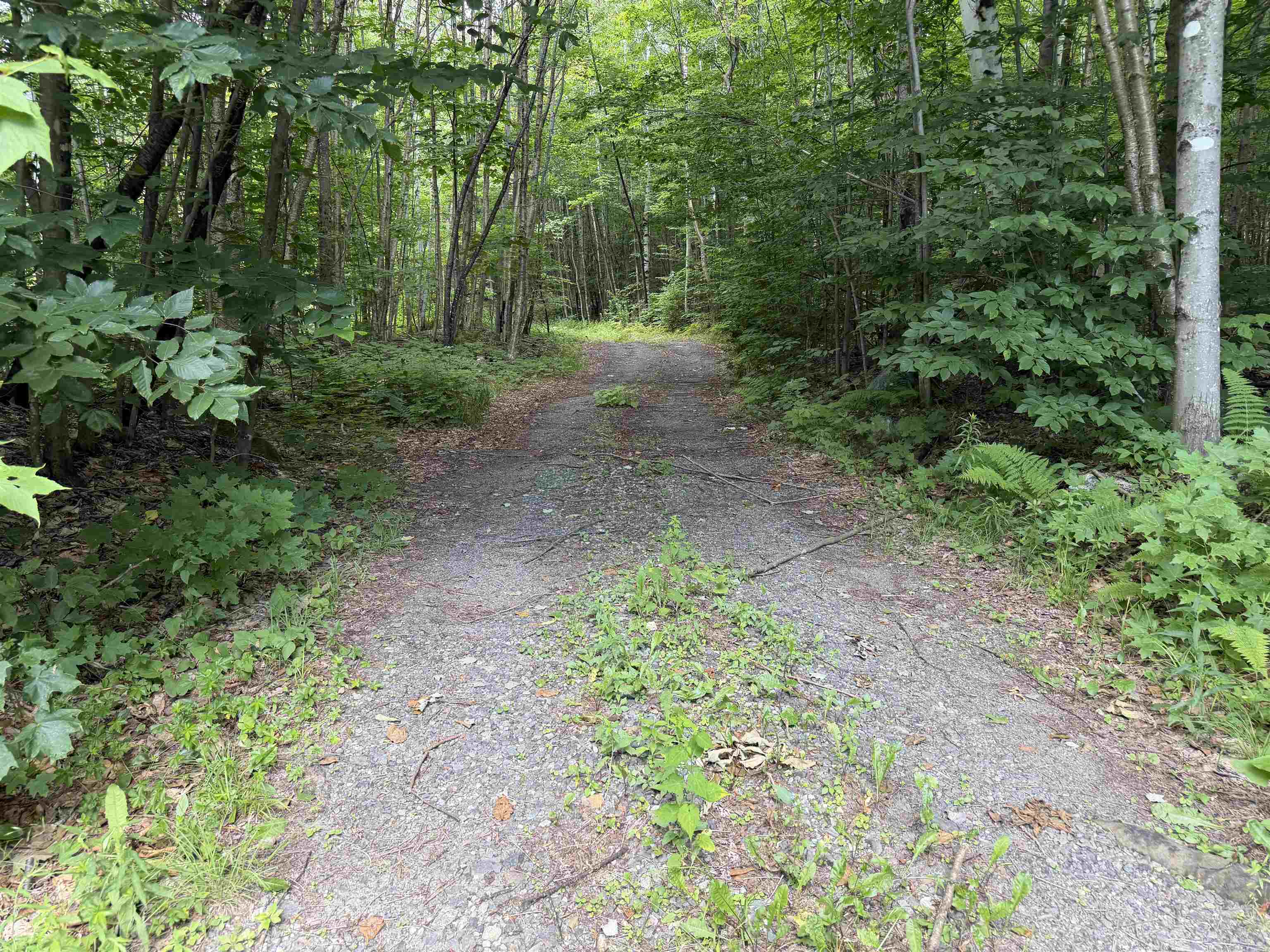 493 Wheeler Mountain Road Property Photo 26