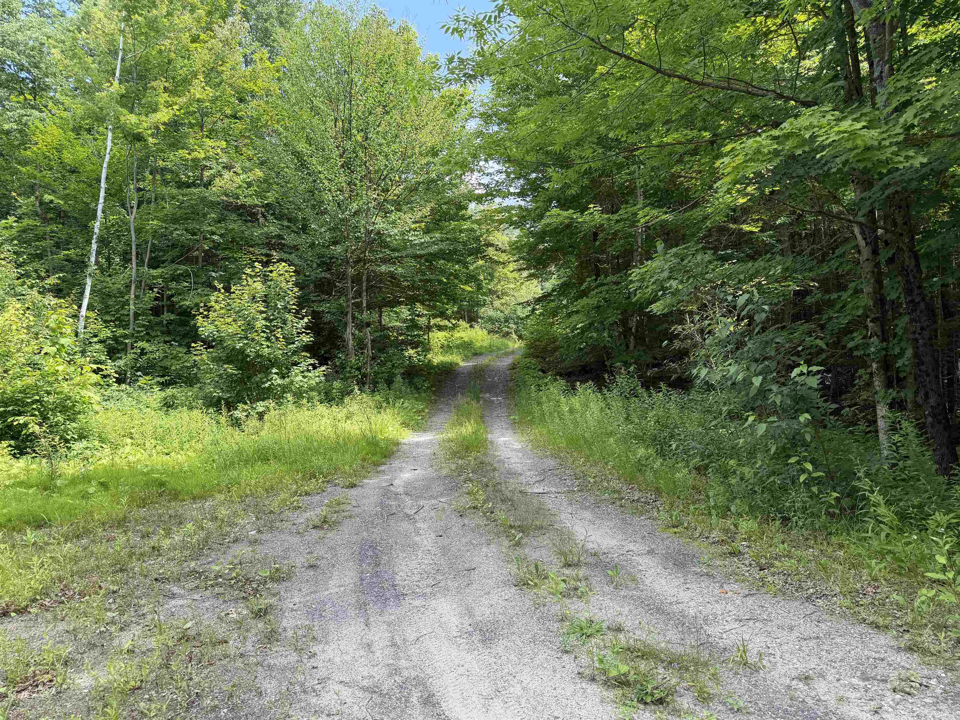 493 Wheeler Mountain Road Property Photo 27