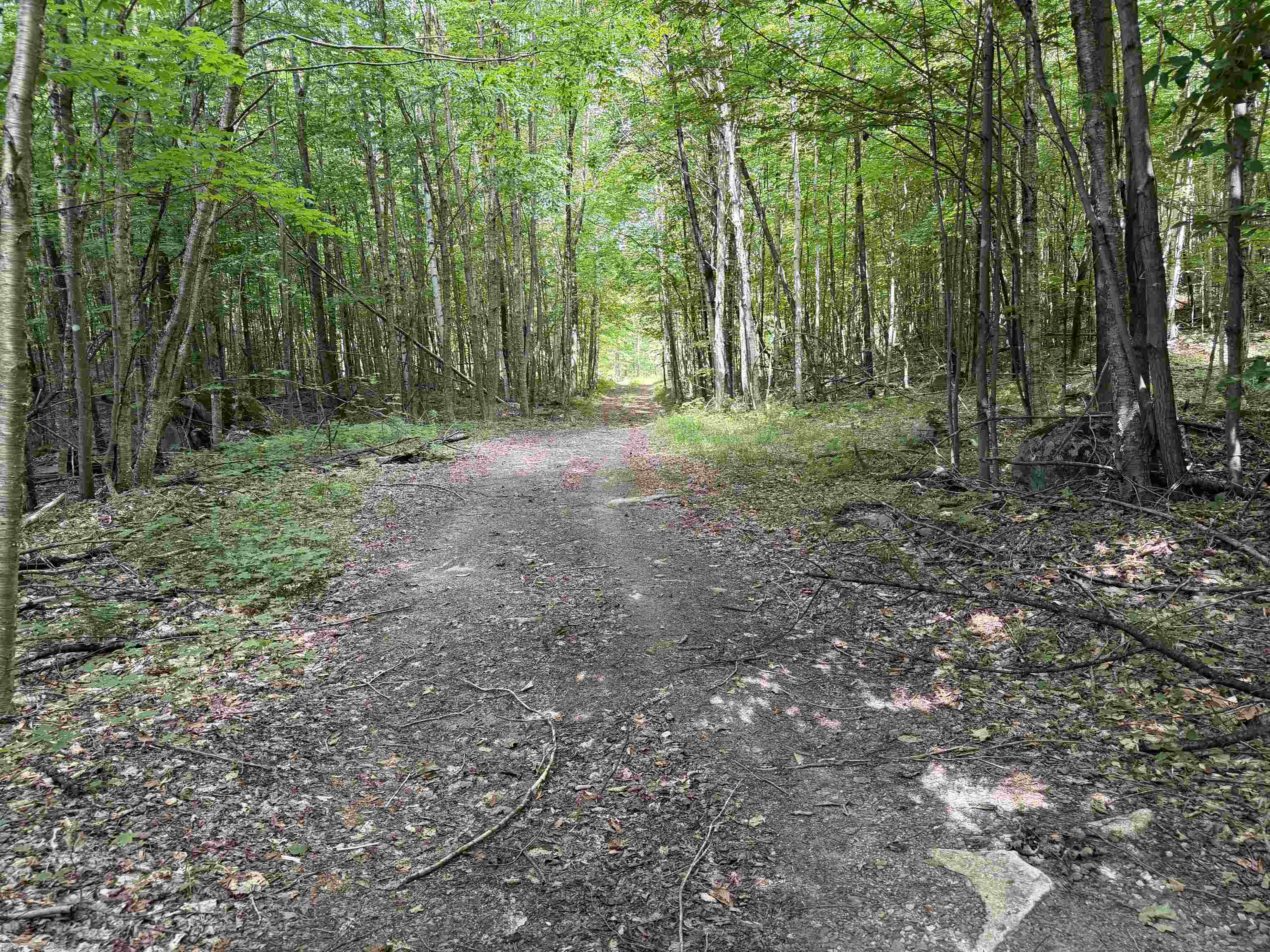 493 Wheeler Mountain Road Property Photo 28