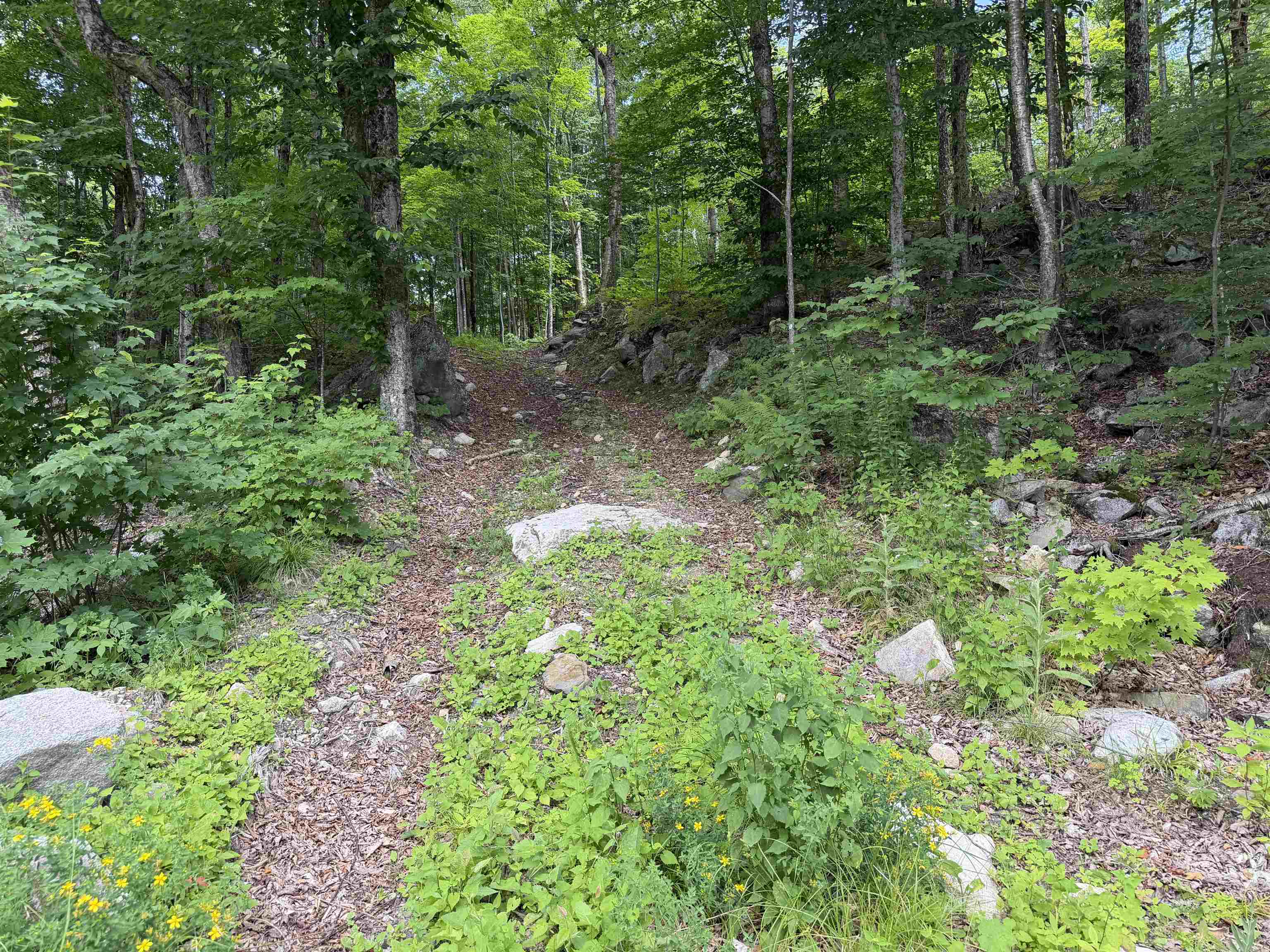 493 Wheeler Mountain Road Property Photo 29