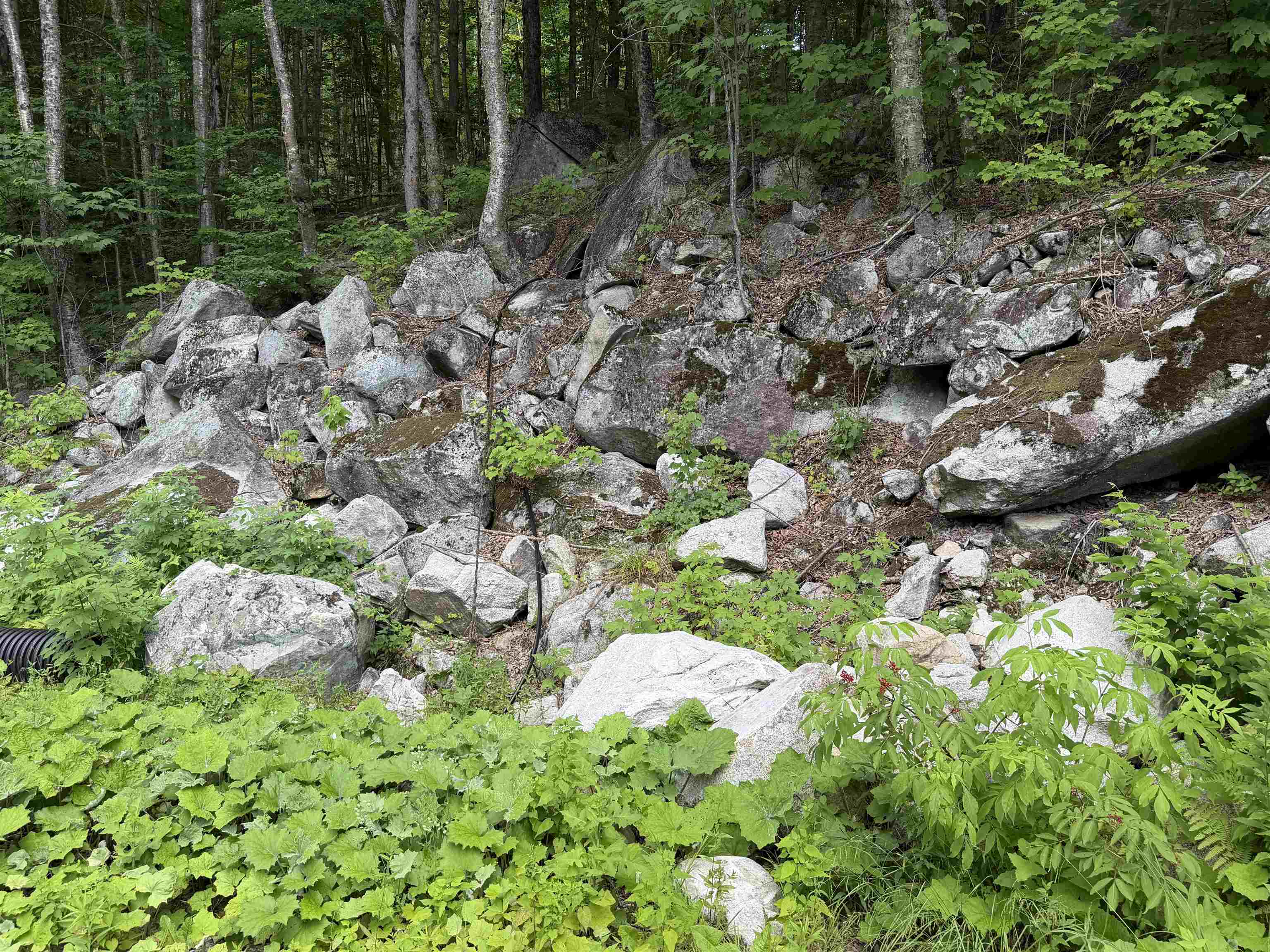 493 Wheeler Mountain Road Property Photo 30