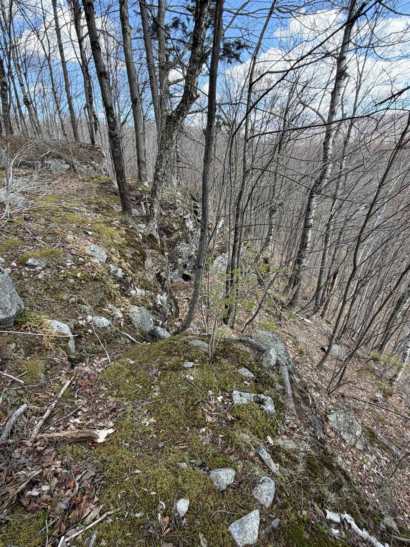 493 Wheeler Mountain Road Property Photo 41