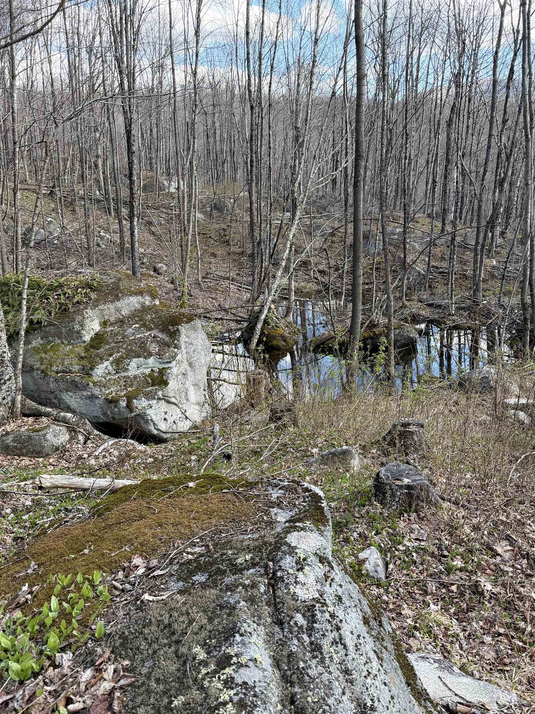 493 Wheeler Mountain Road Property Photo 43