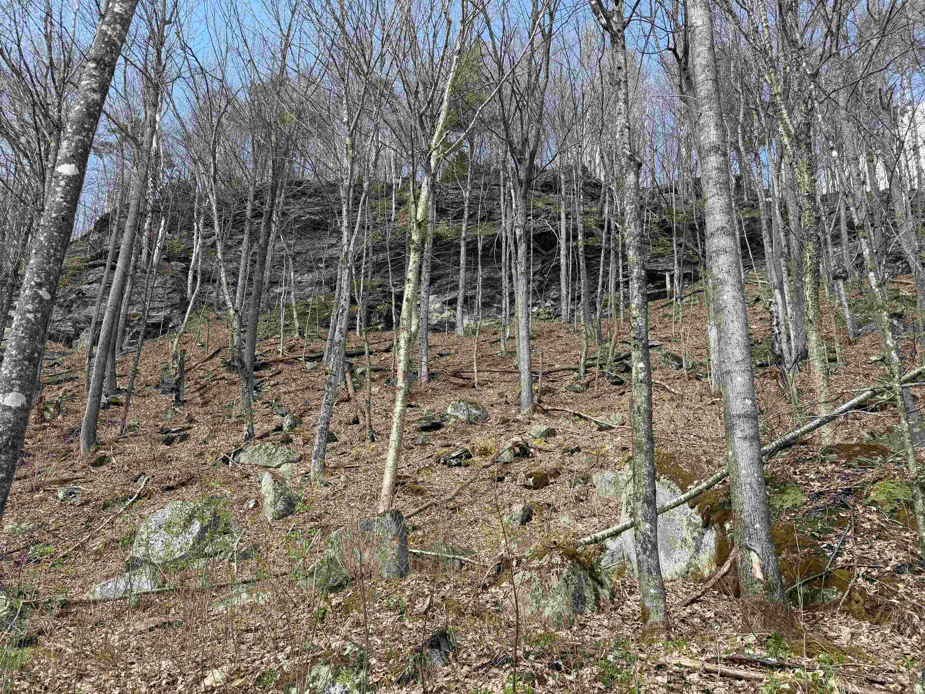 493 Wheeler Mountain Road Property Photo 51