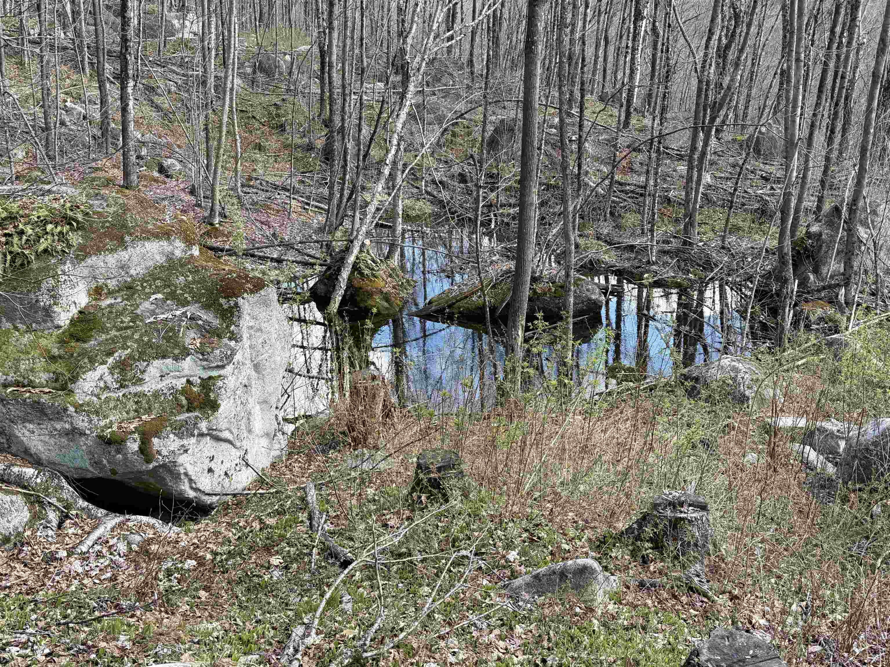 493 Wheeler Mountain Road Property Photo 52