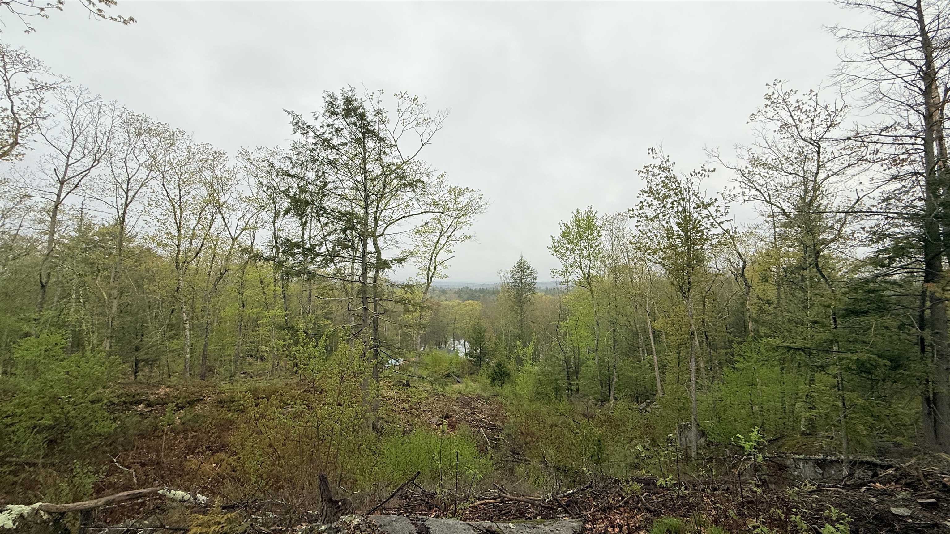 Map 104 Berry River Road Property Photo 5