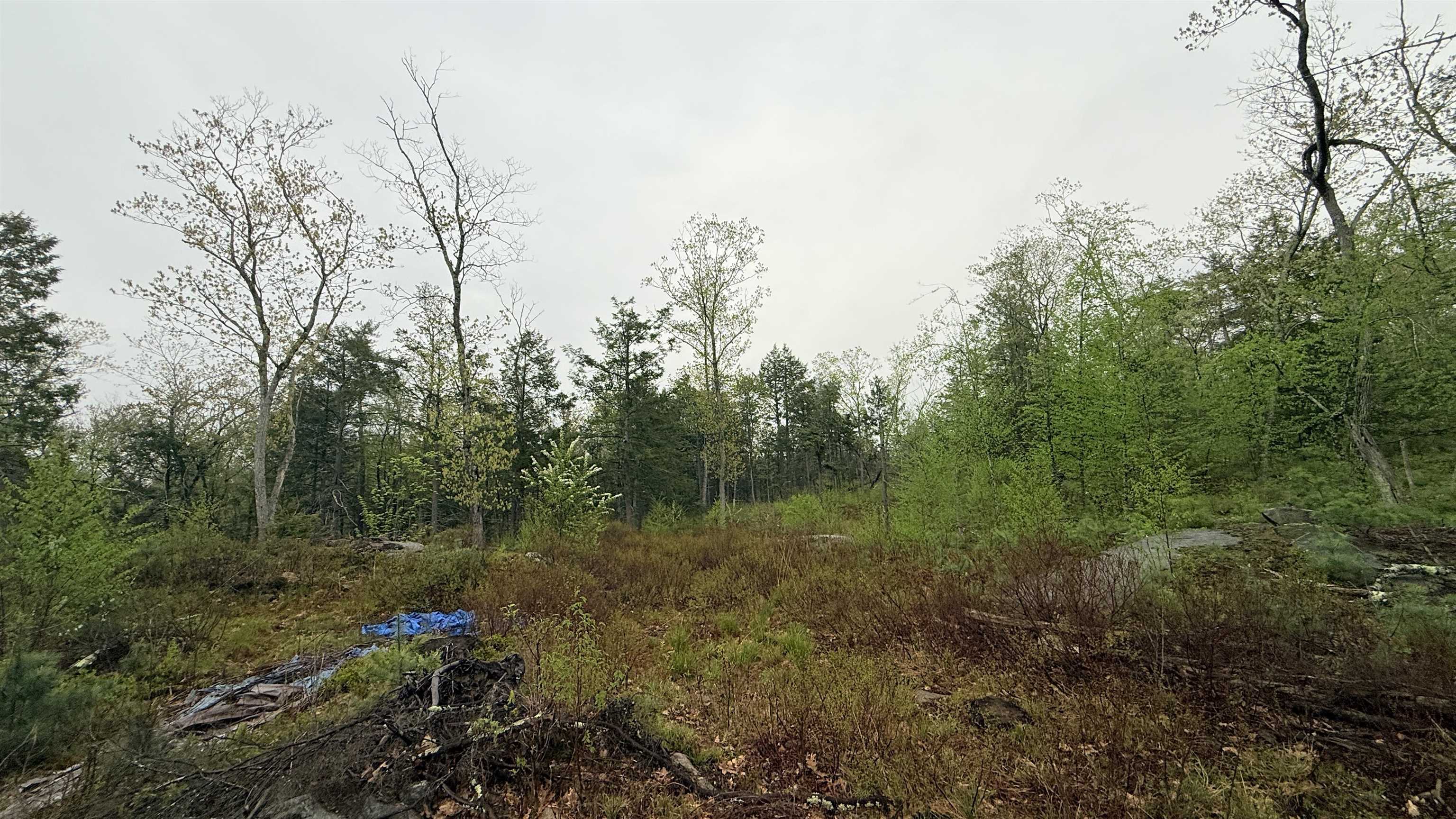 Map 104 Berry River Road Property Photo 9