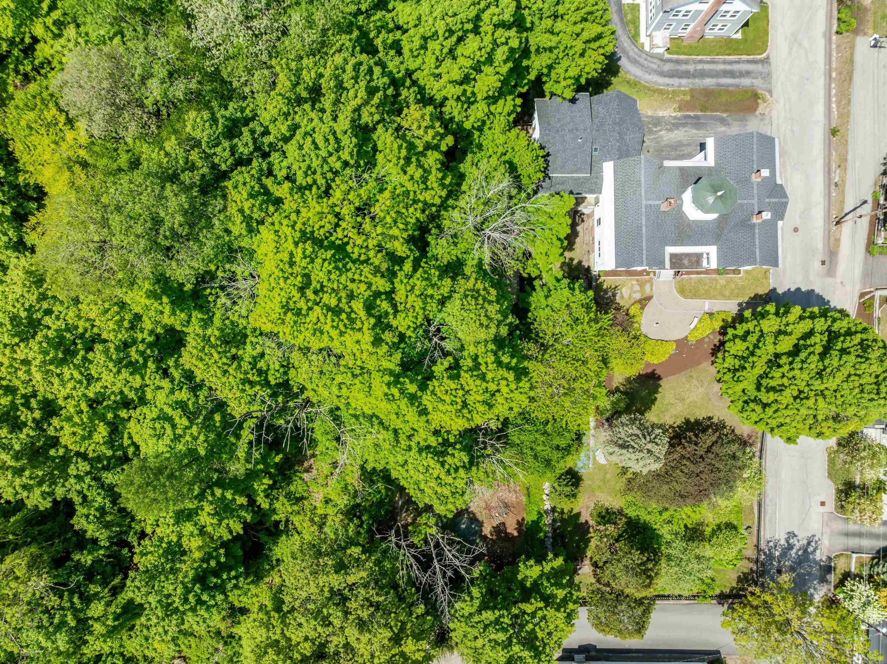 12 Highland Street Property Photo 46