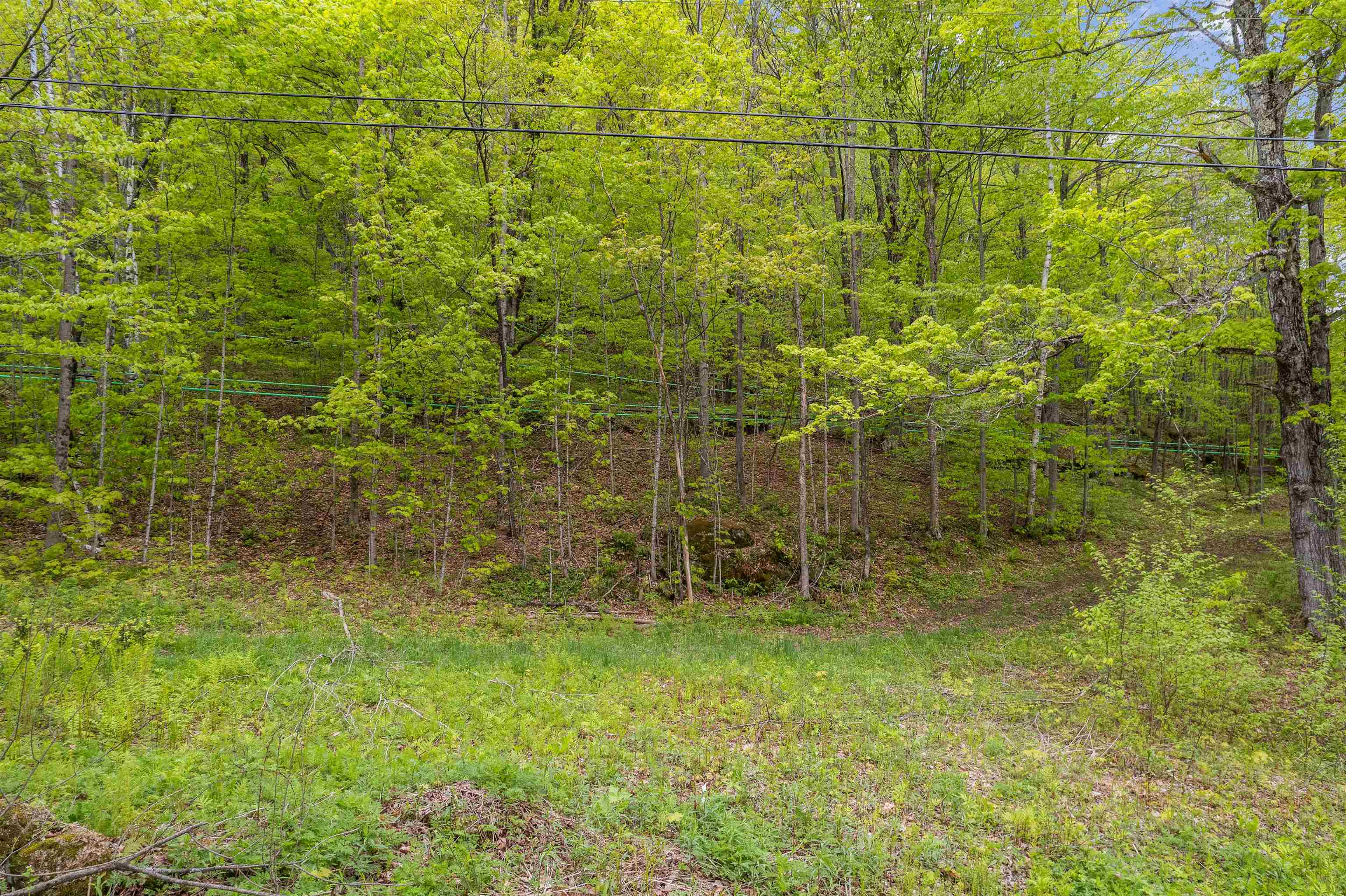 Noah Wood Road Property Photo 17