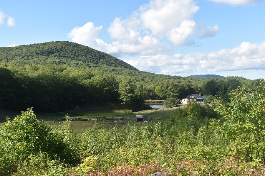 345 Deer Valley Road Property Photo 4