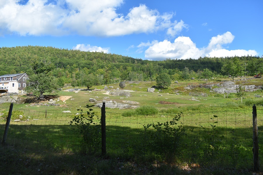 345 Deer Valley Road Property Photo 5