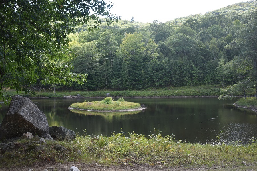345 Deer Valley Road Property Photo 9