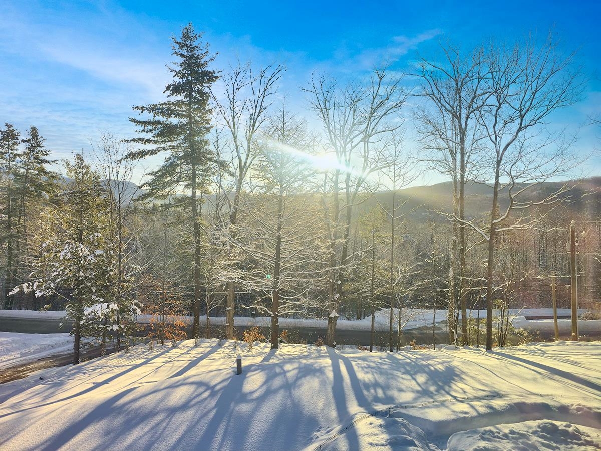253 Upper Mad River Road Property Photo 54