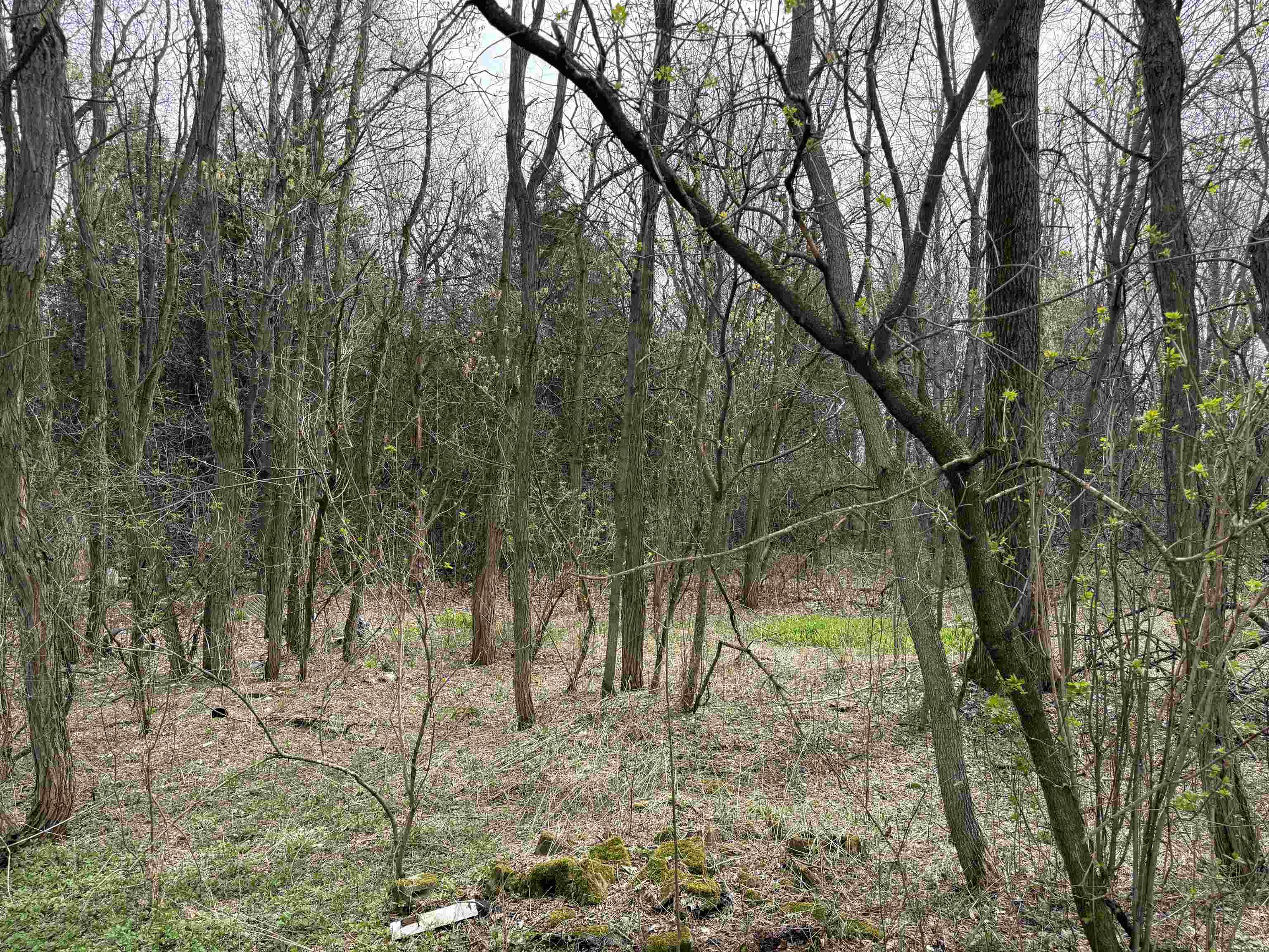 54 Adams School Road Property Photo 4