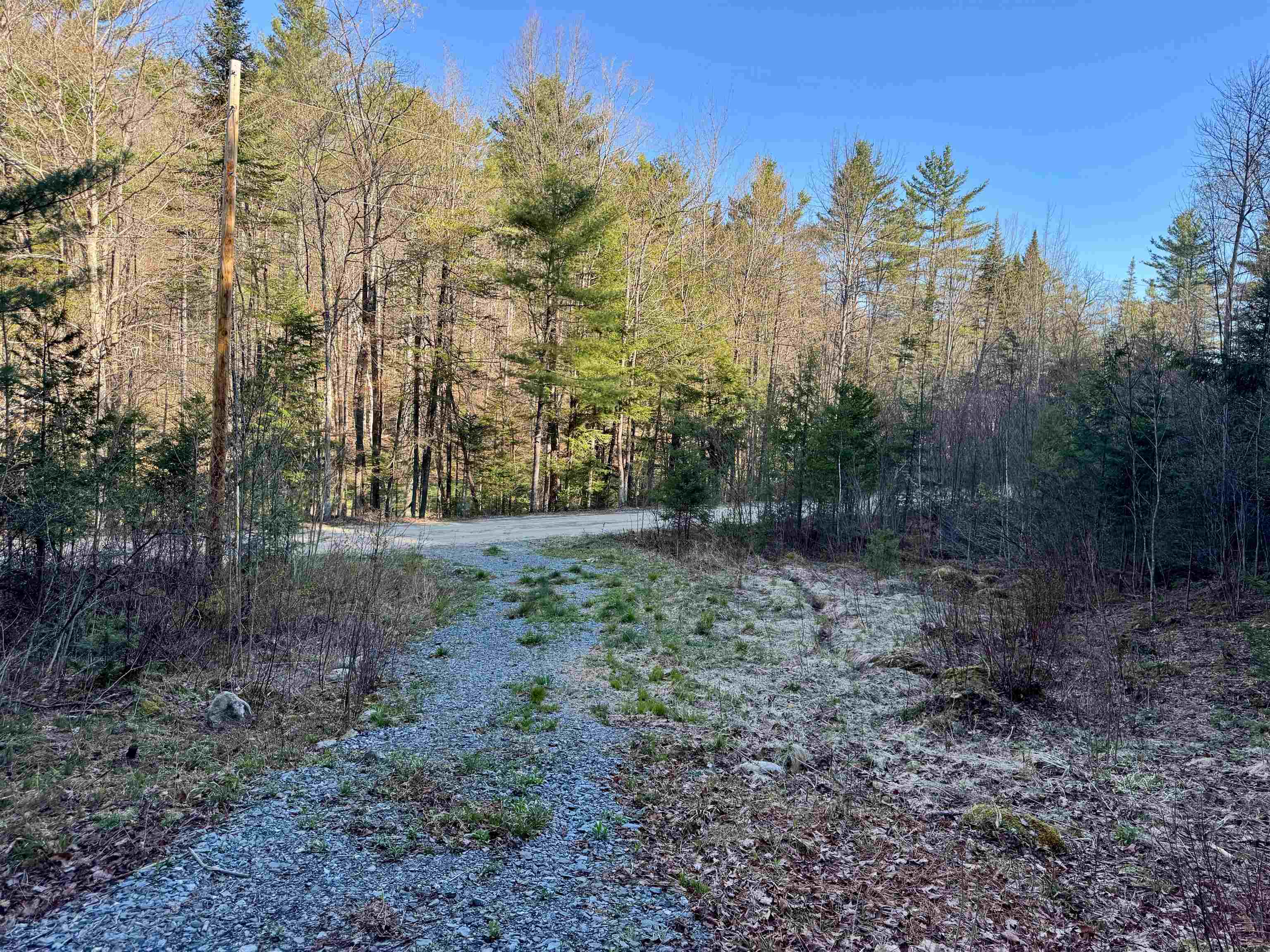 0 Branch Brook Road Property Photo 4