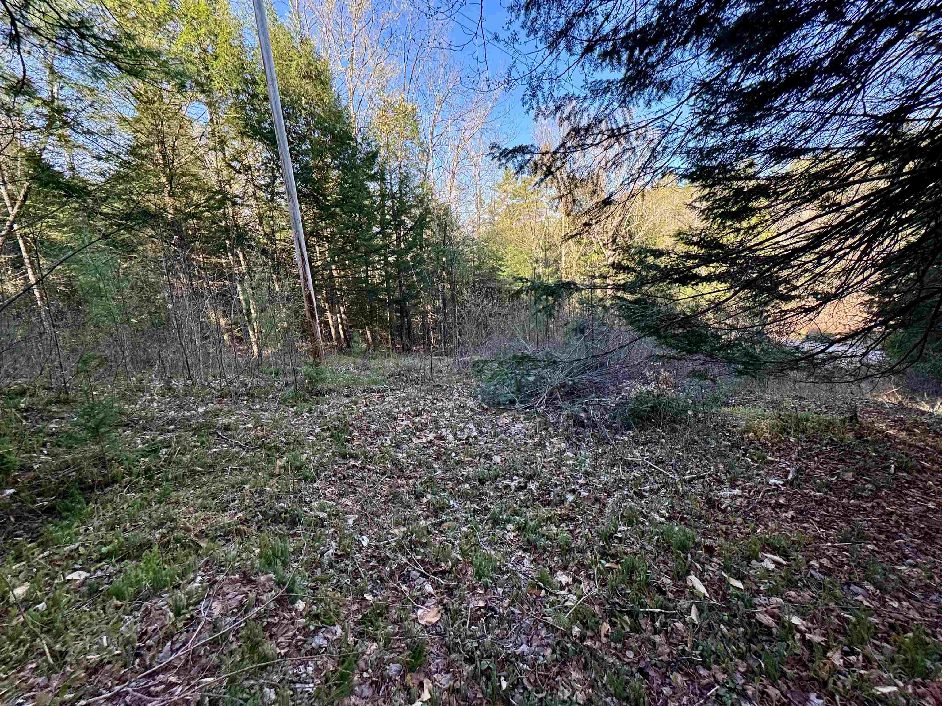 0 Branch Brook Road Property Photo 5