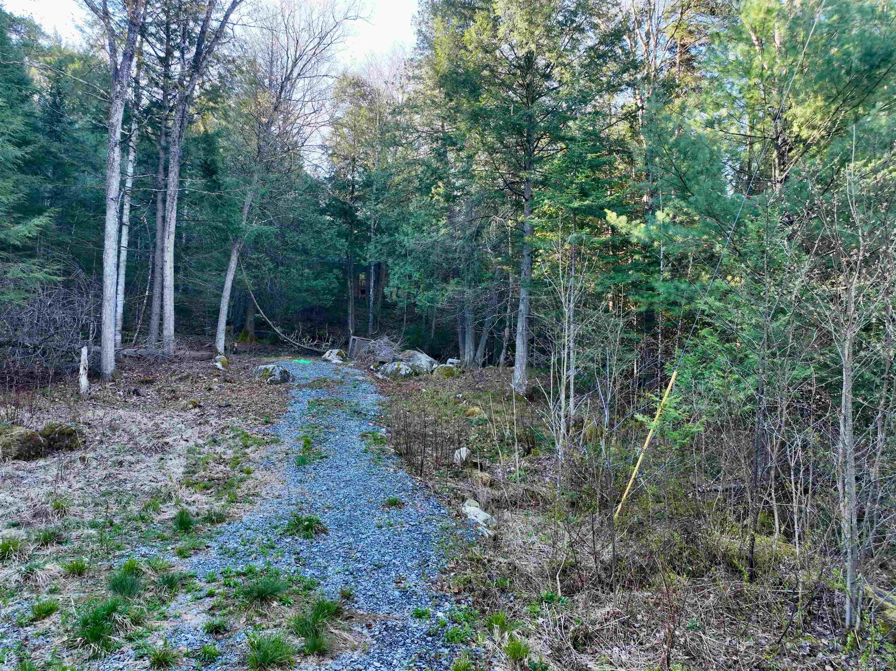 0 Branch Brook Road Property Photo 6