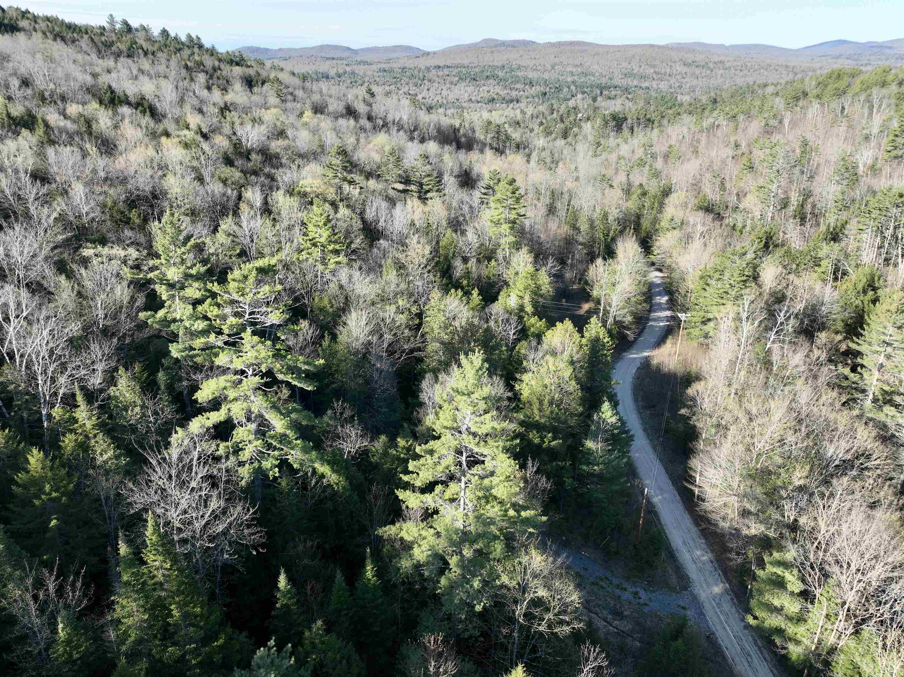 0 Branch Brook Road Property Photo 10