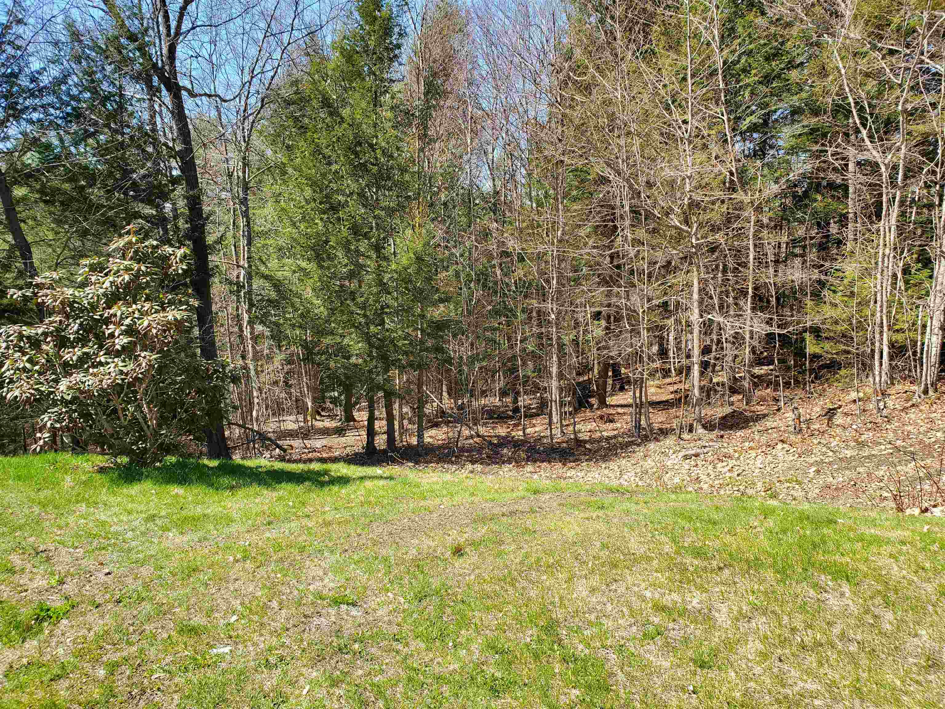 557 Fernwood Farms Road Property Photo 6