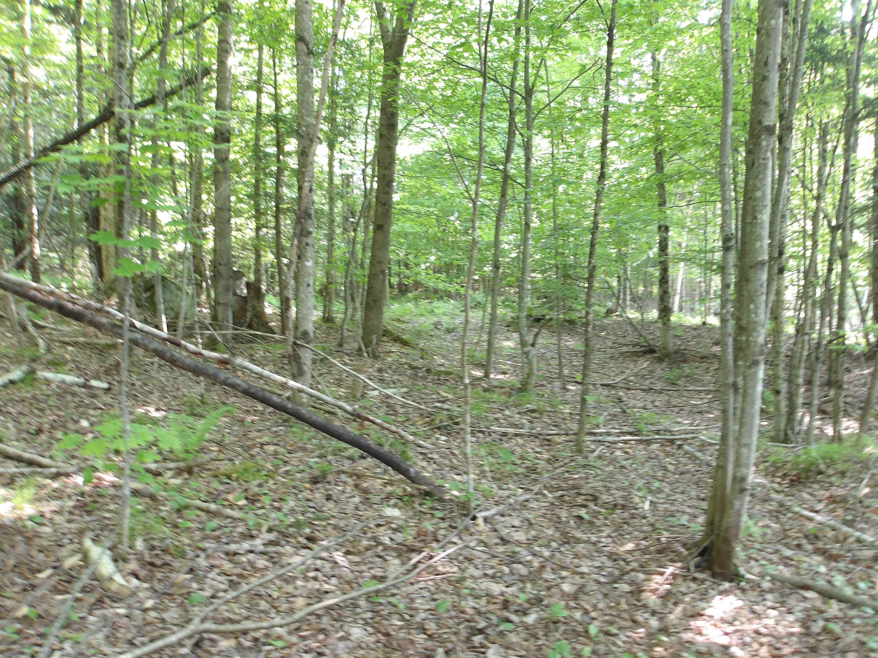 4 & 5 Forest Lane Property Photo 9
