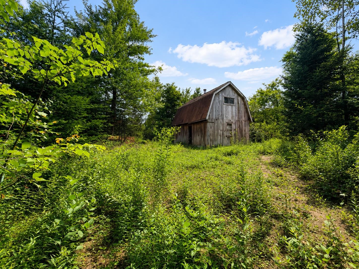 2900 Old Duck Pond Road Property Photo 1