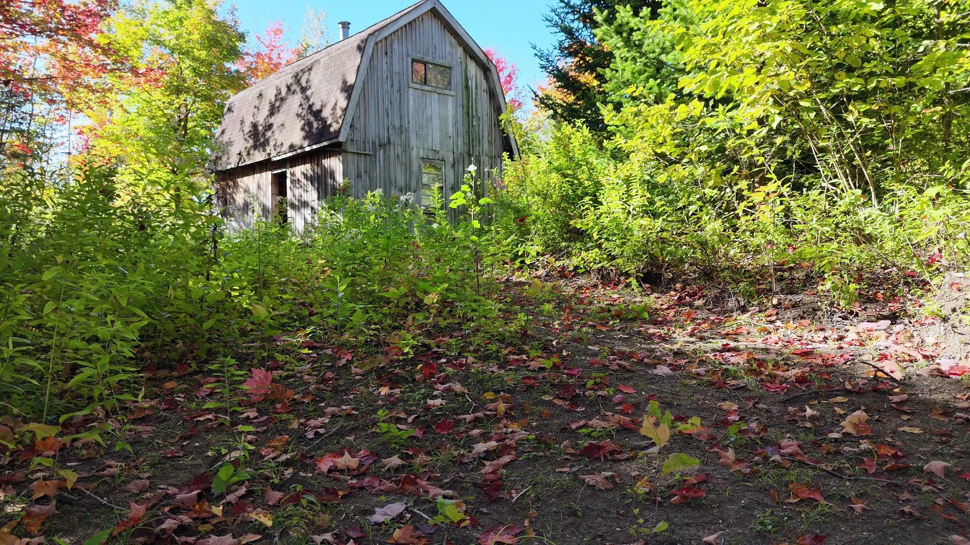 2900 Old Duck Pond Road Property Photo 11