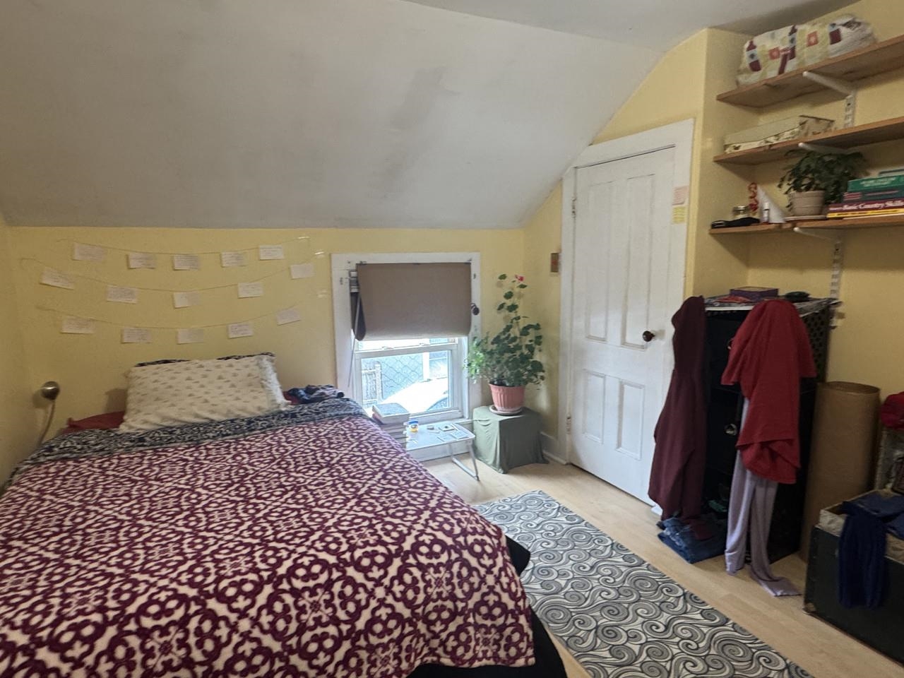 18 Park Street Property Photo 31