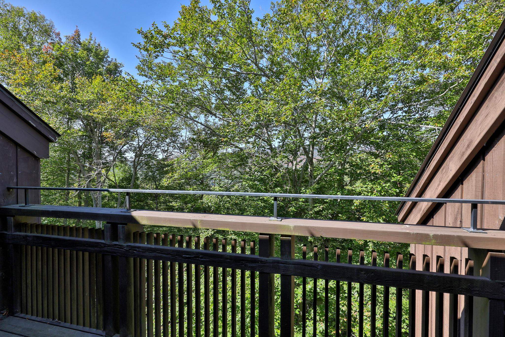 107 Blueberry Ledge Ridge Property Photo 33