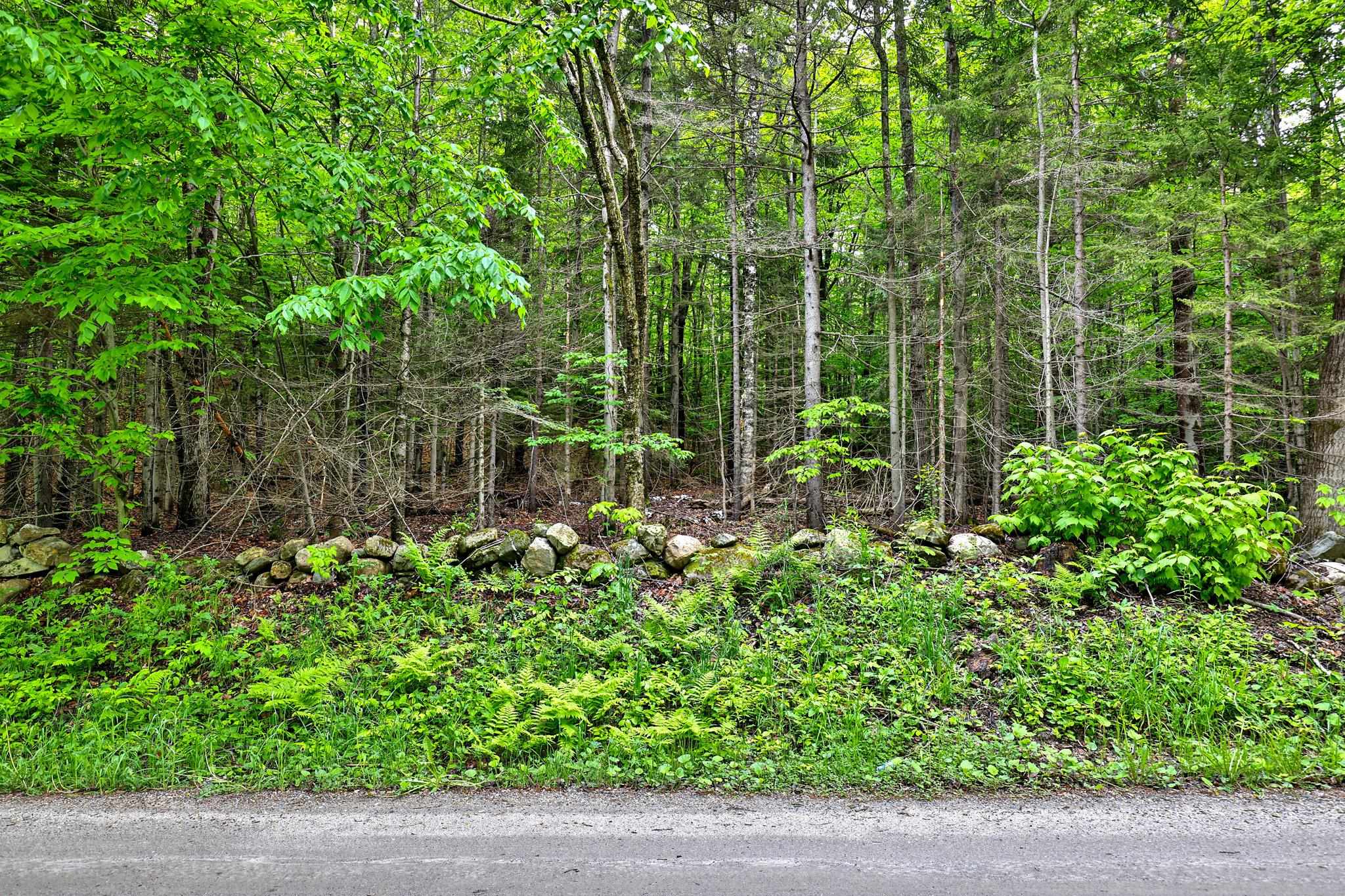 0 East Hill Road Property Photo 2