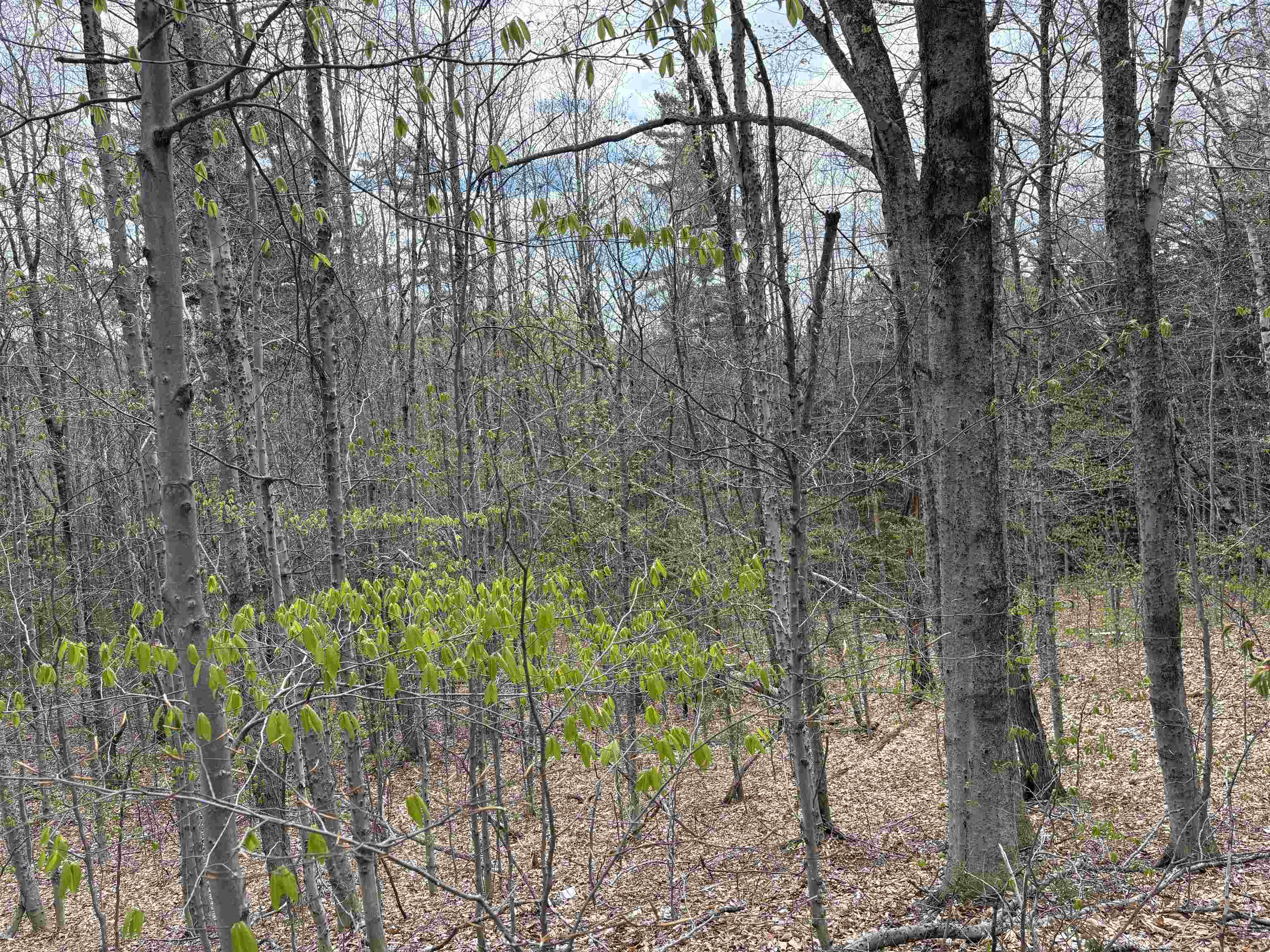 0 East Hill Road Property Photo 10