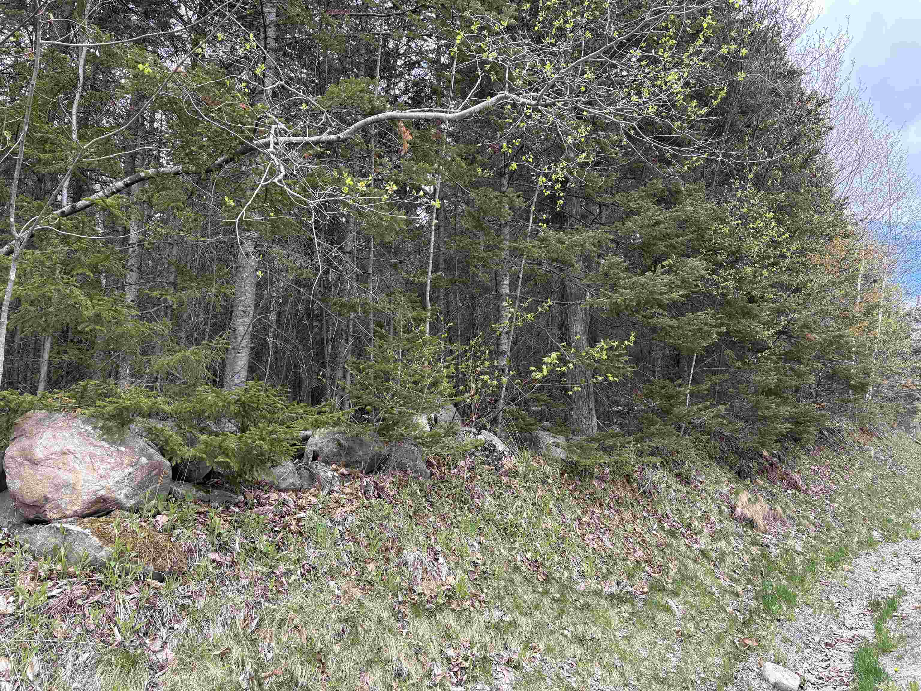 0 East Hill Road Property Photo 15