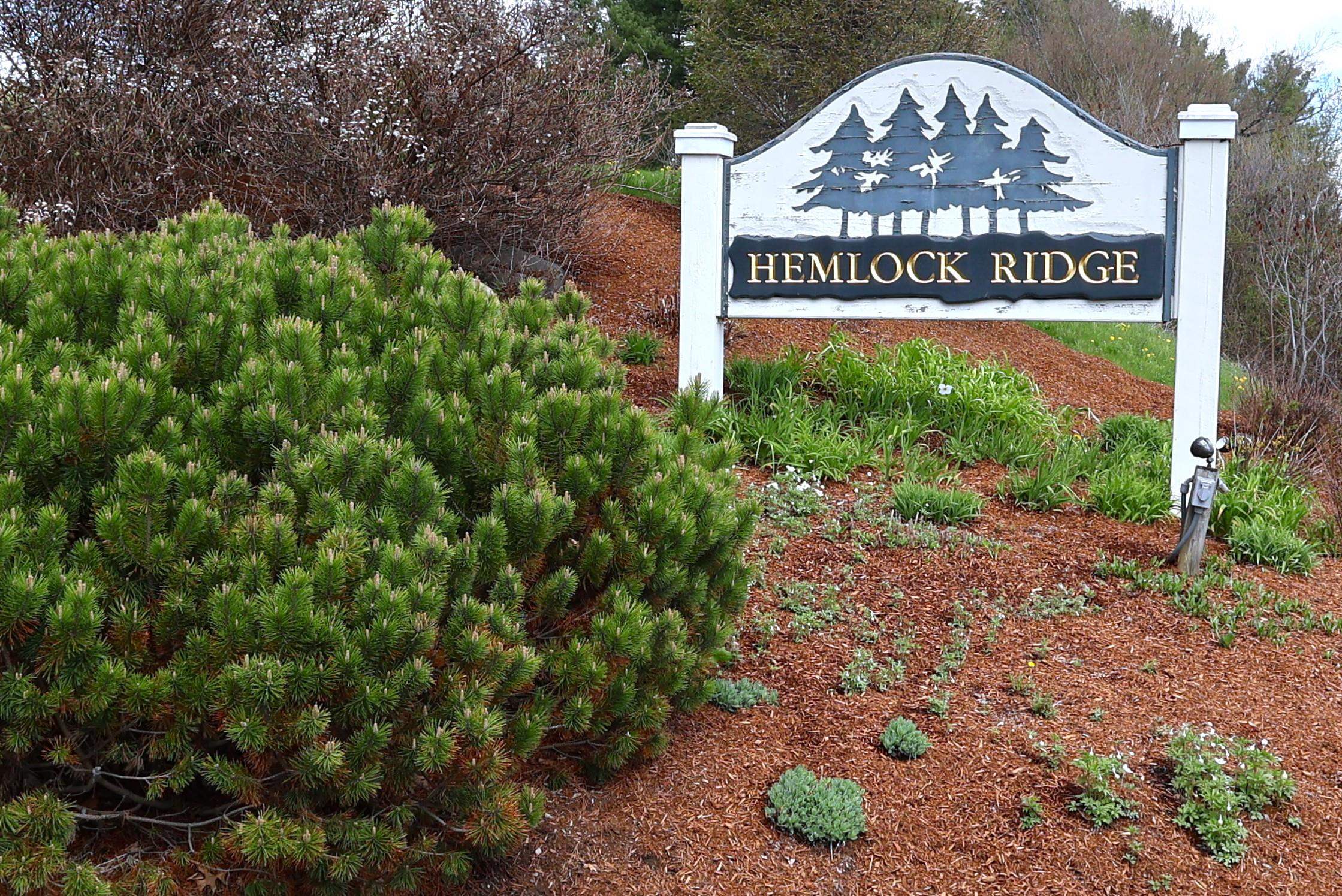 16 Hemlock Ridge Drive Property Photo 28