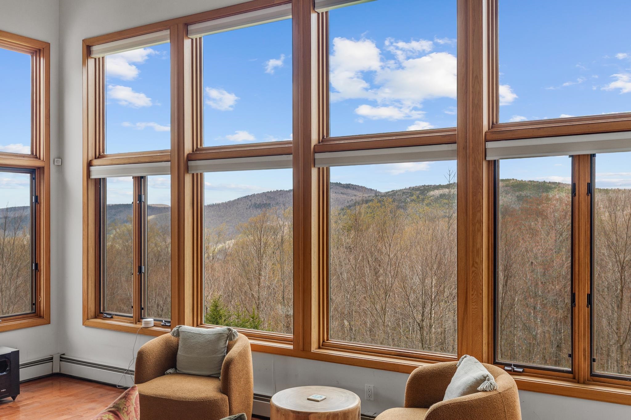 109 Mountainside Drive Property Photo 39