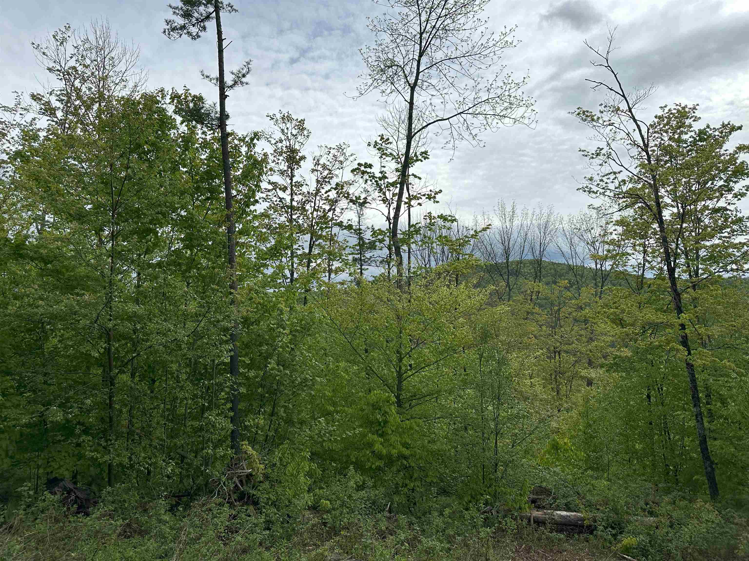 00 Hall Road Property Photo 2