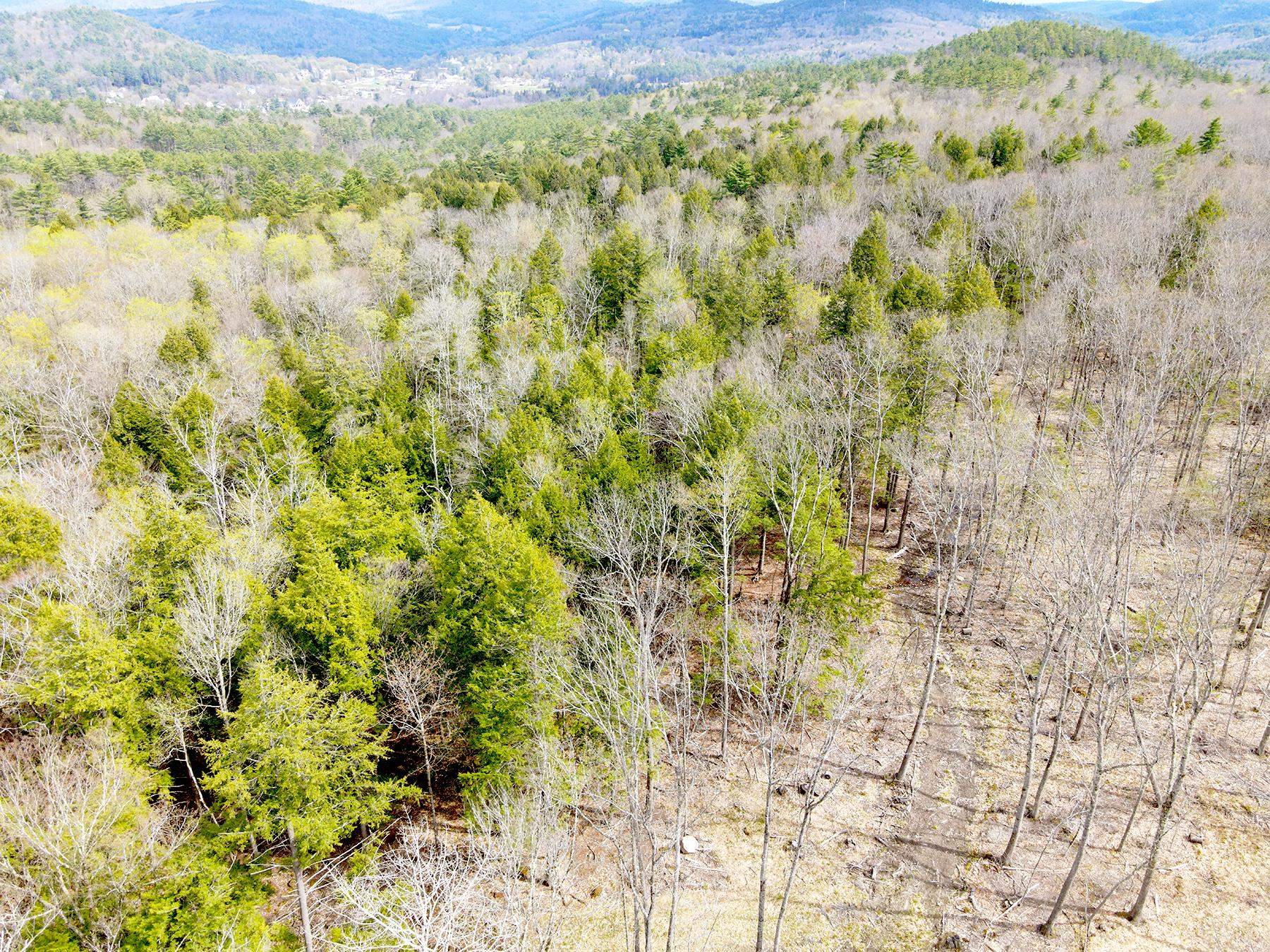Tm 413 L 99 King Road Property Photo 4