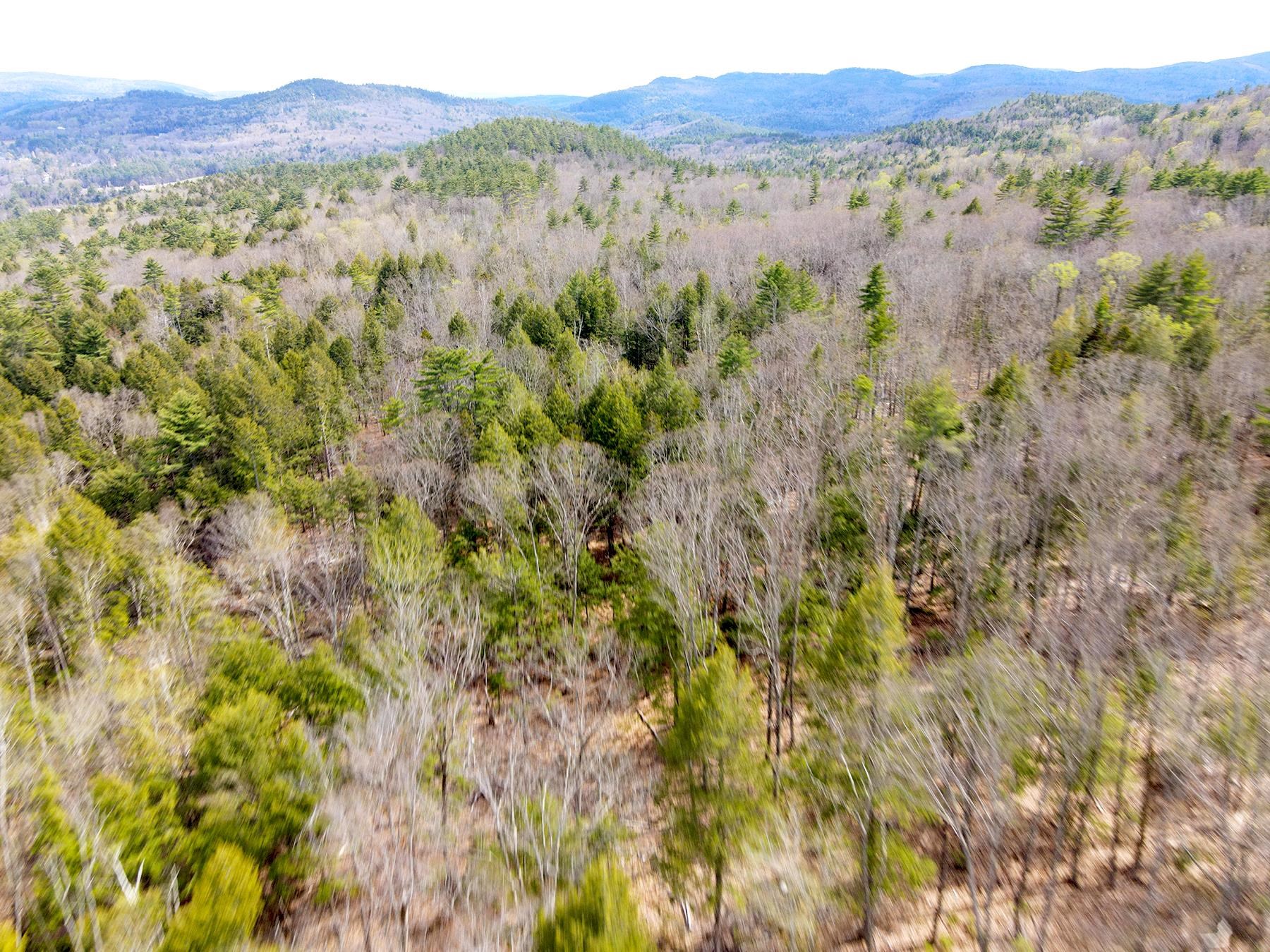 Tm 413 L 99 King Road Property Photo 6