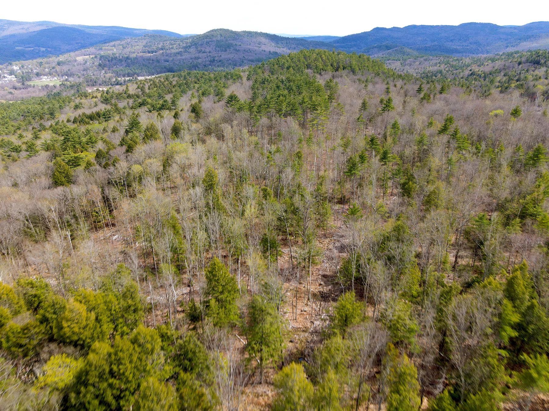 Tm 413 L 99 King Road Property Photo 10