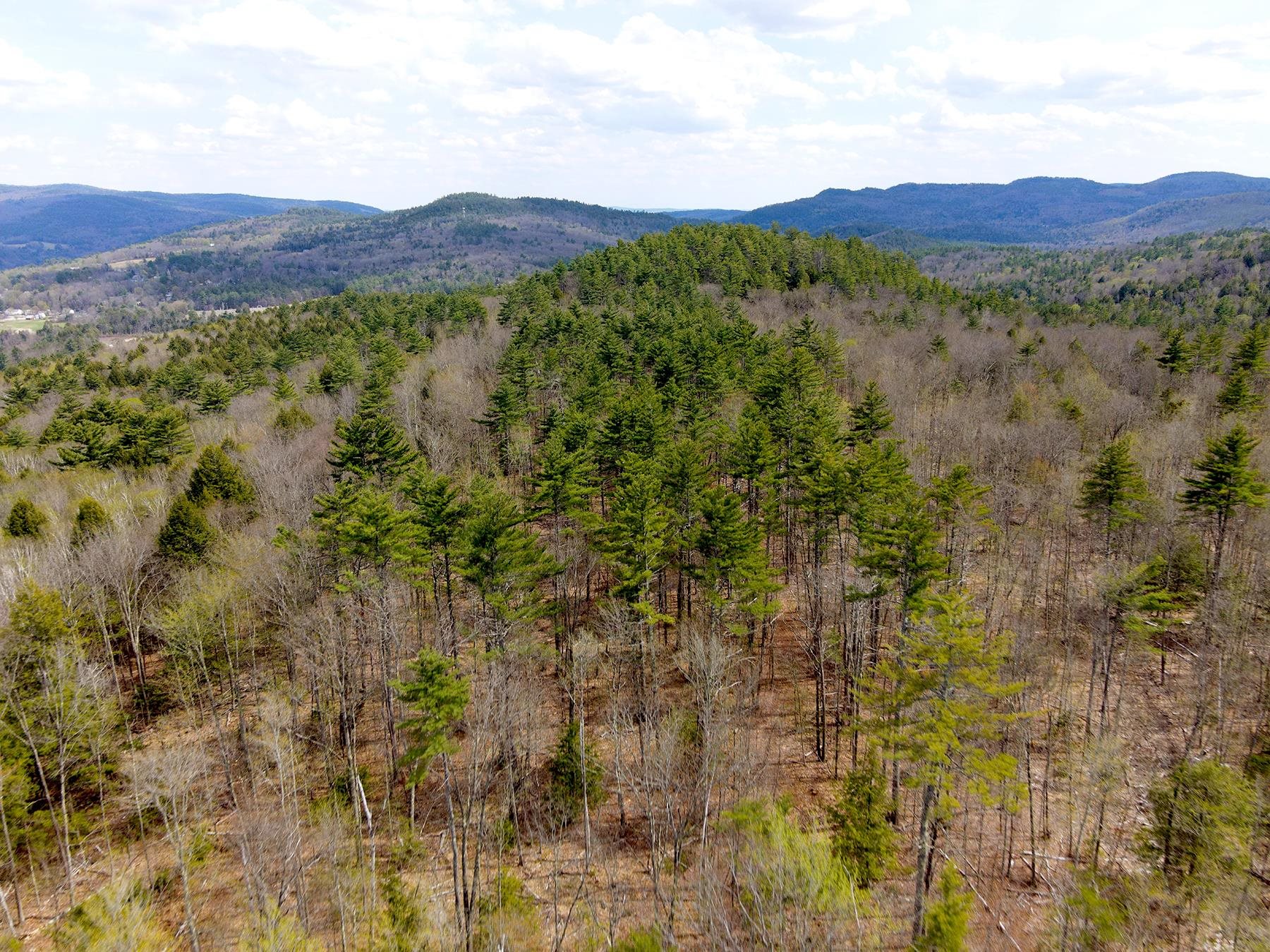 Tm 413 L 99 King Road Property Photo 11